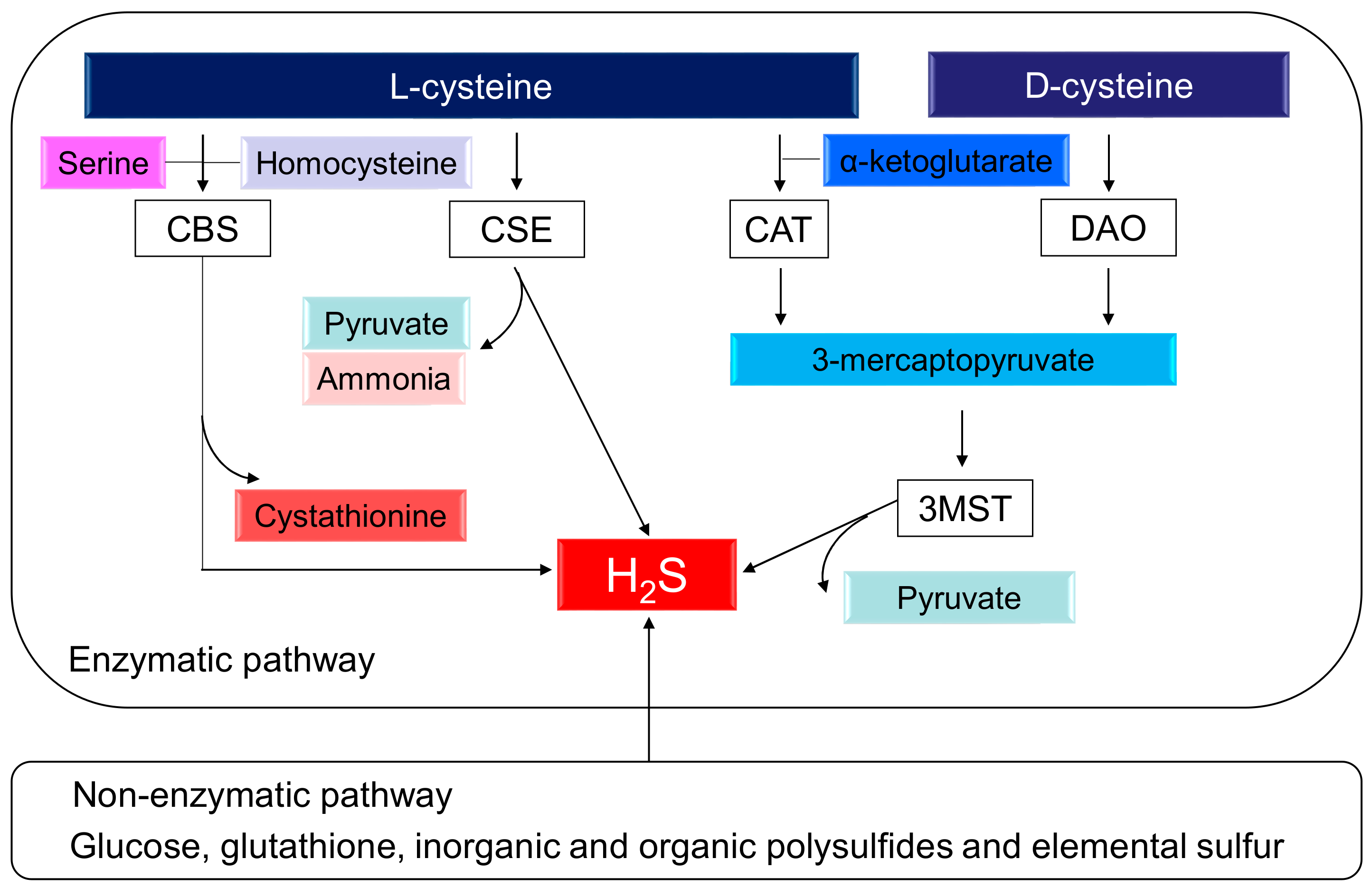 Ijms 19 01438 g001 Ijms 19 01438 g001