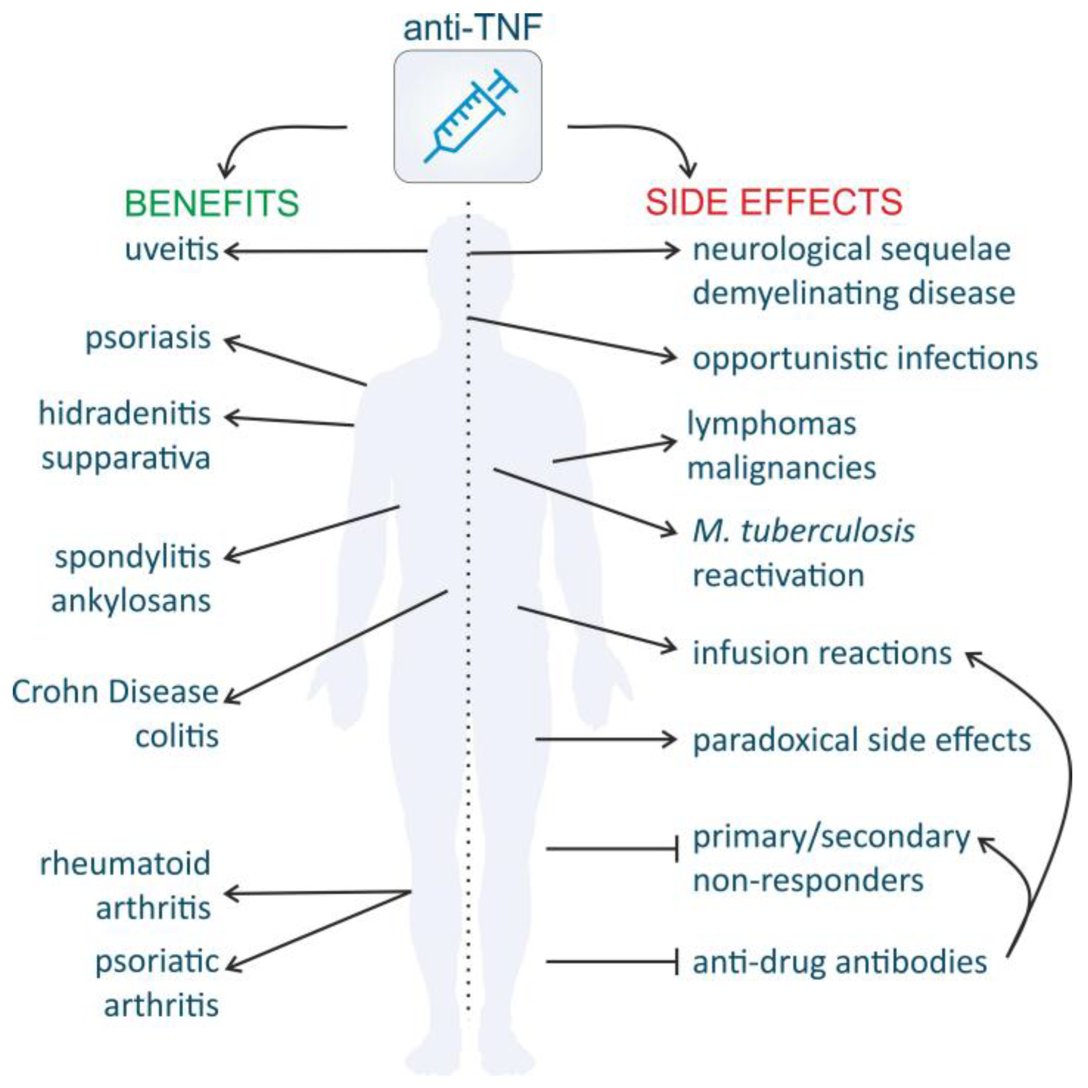 which of the following statements about the primary and secondary immune responses is true