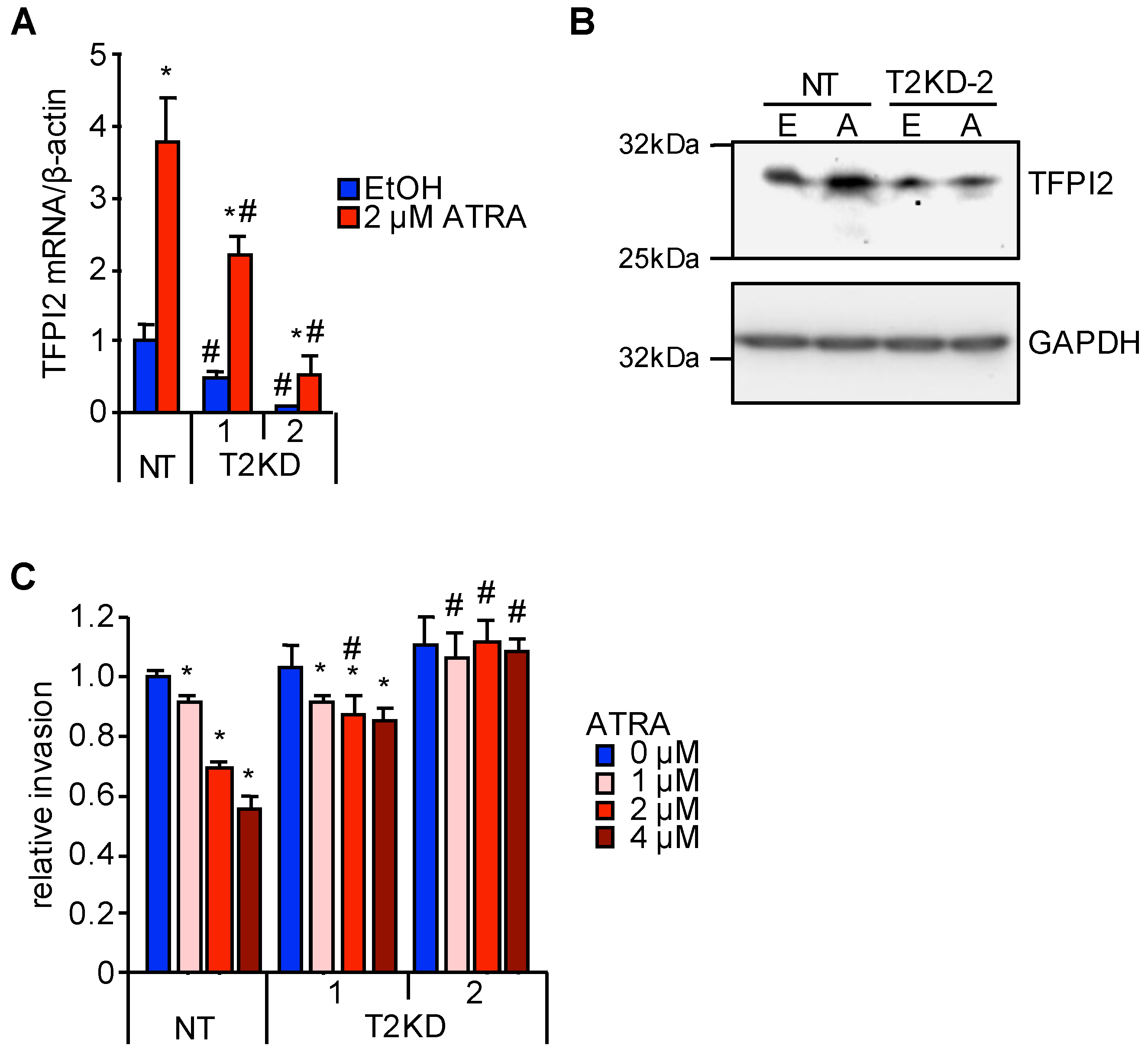 Ijms 19 01450 g003 Ijms 19 01450 g003
