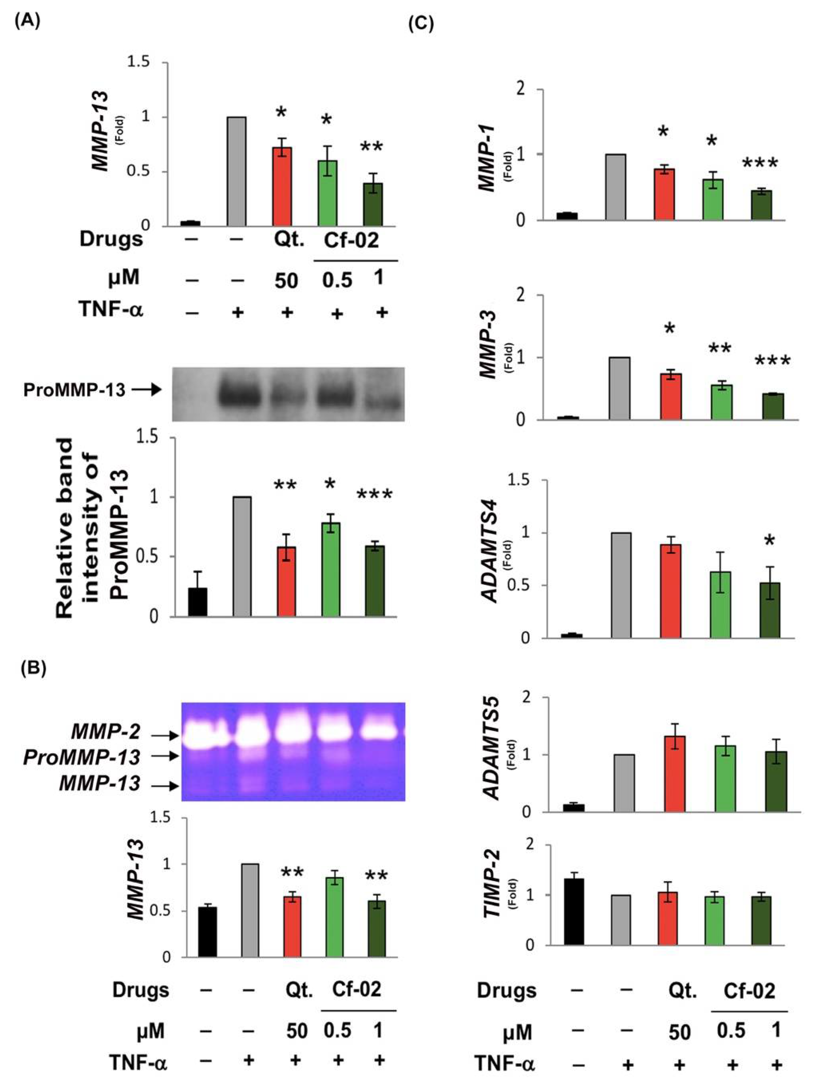 Ijms 19 01453 g002 Ijms 19 01453 g002
