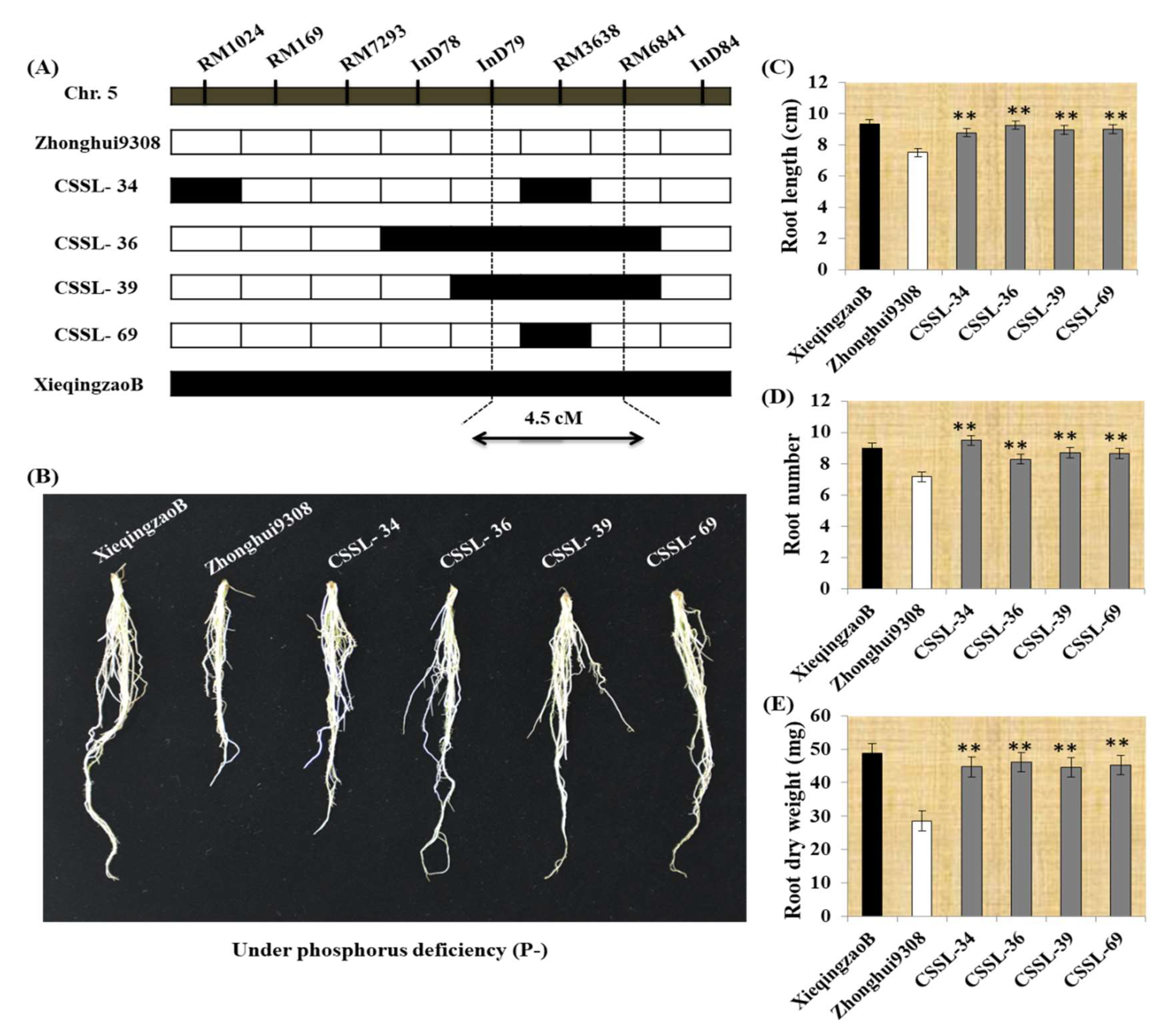 Ijms 19 01460 g004 550