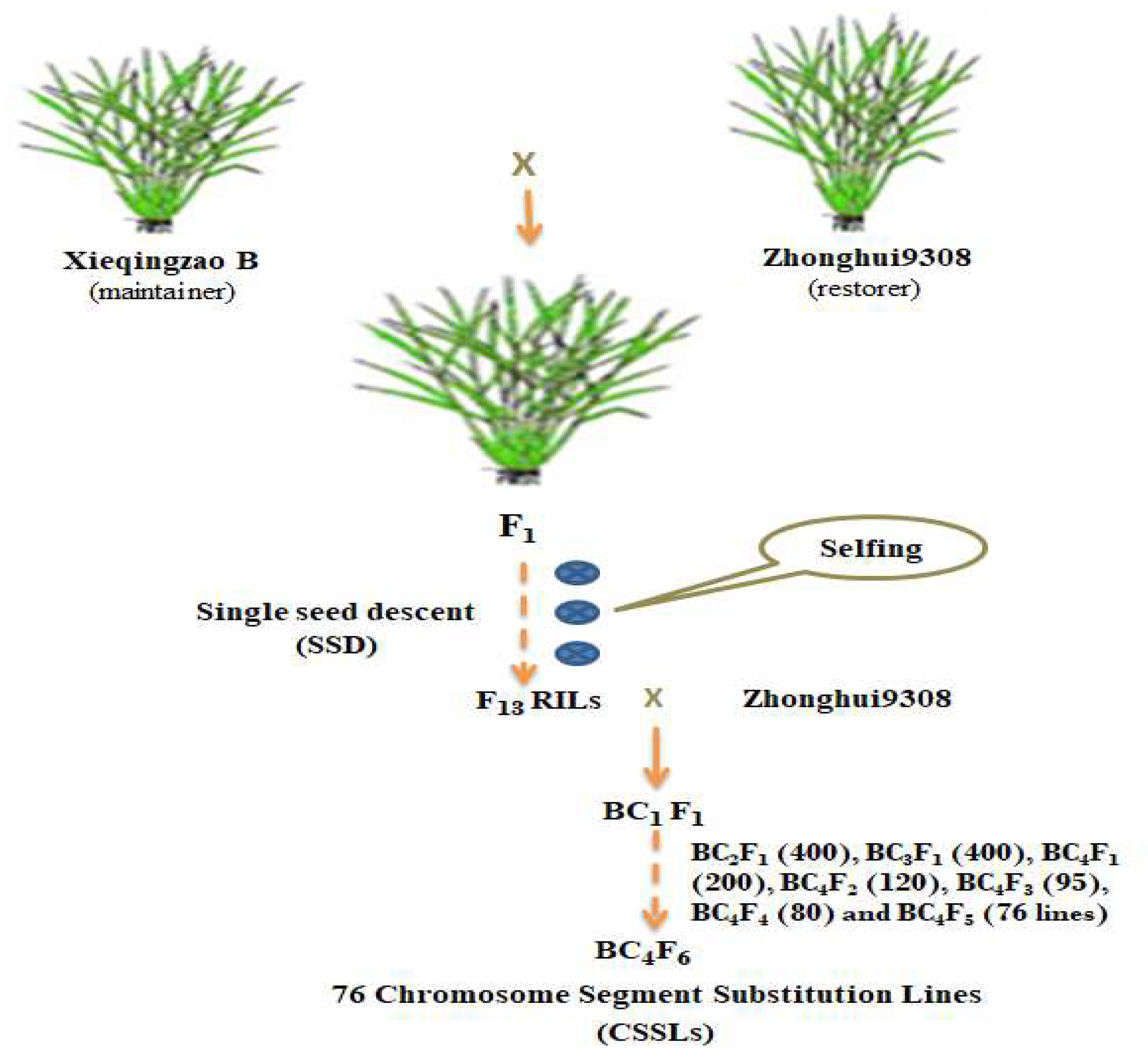 Ijms 19 01460 g005 550
