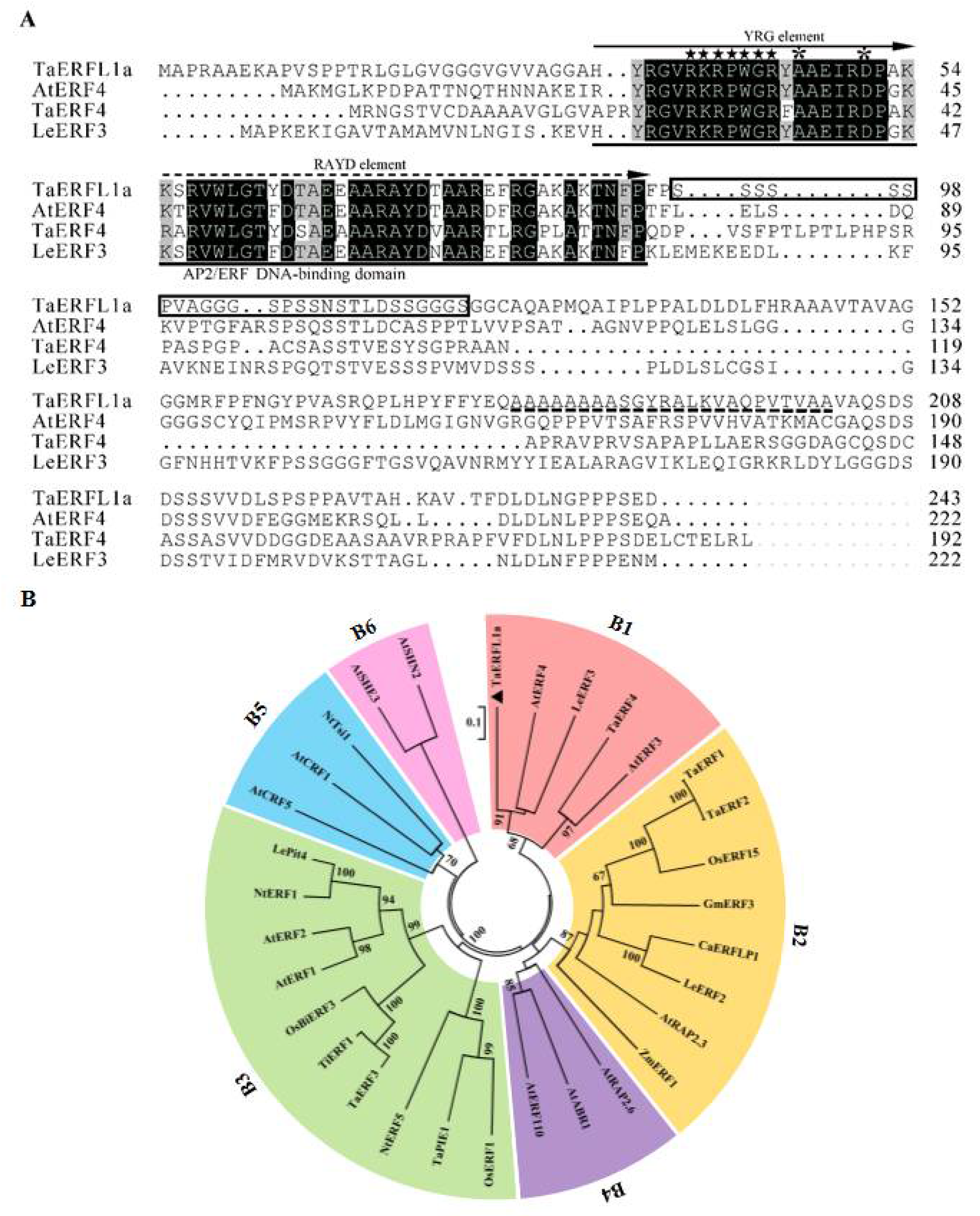 Ijms 19 01465 g001 Ijms 19 01465 g001