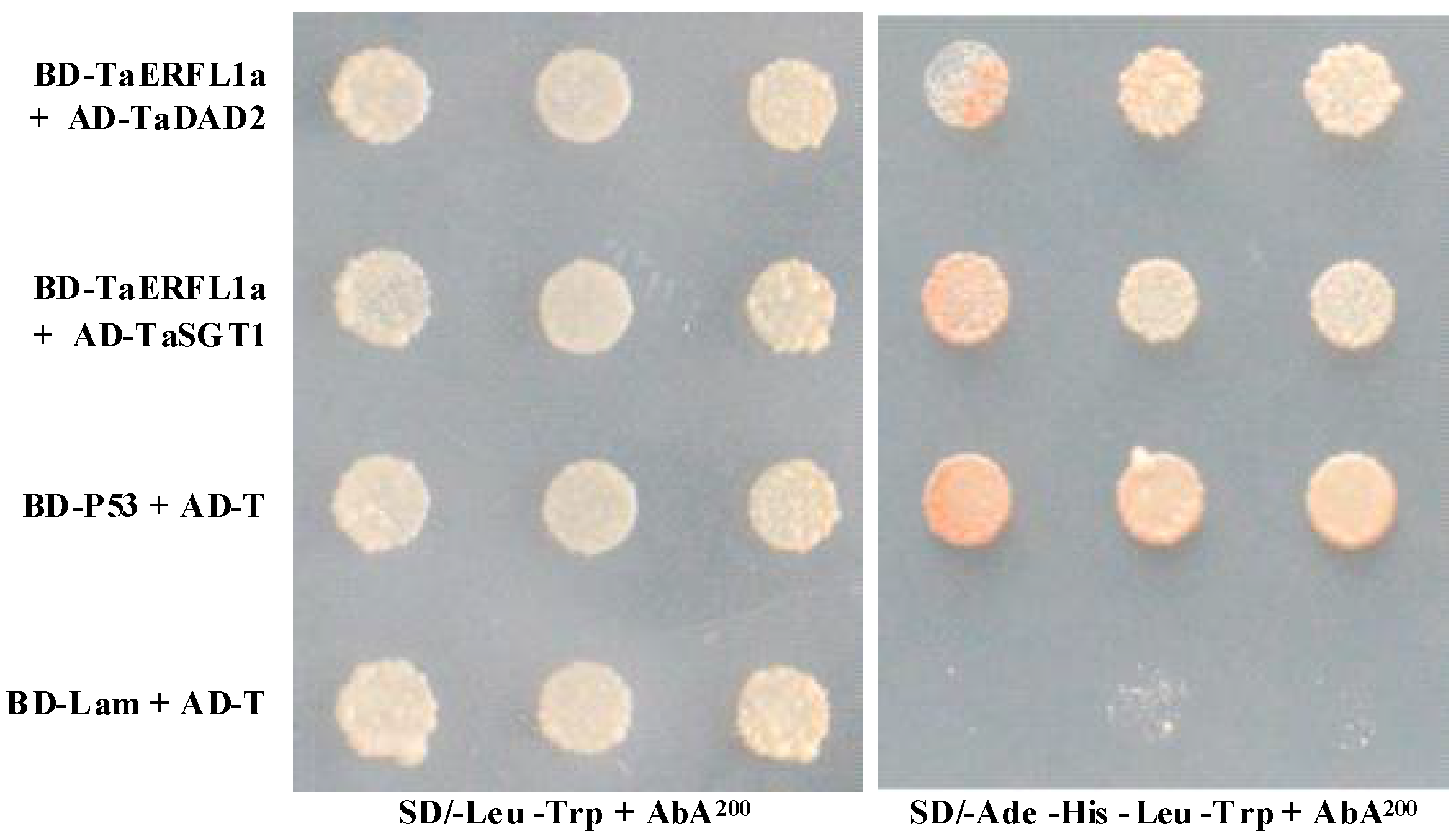 Ijms 19 01465 g006 Ijms 19 01465 g006