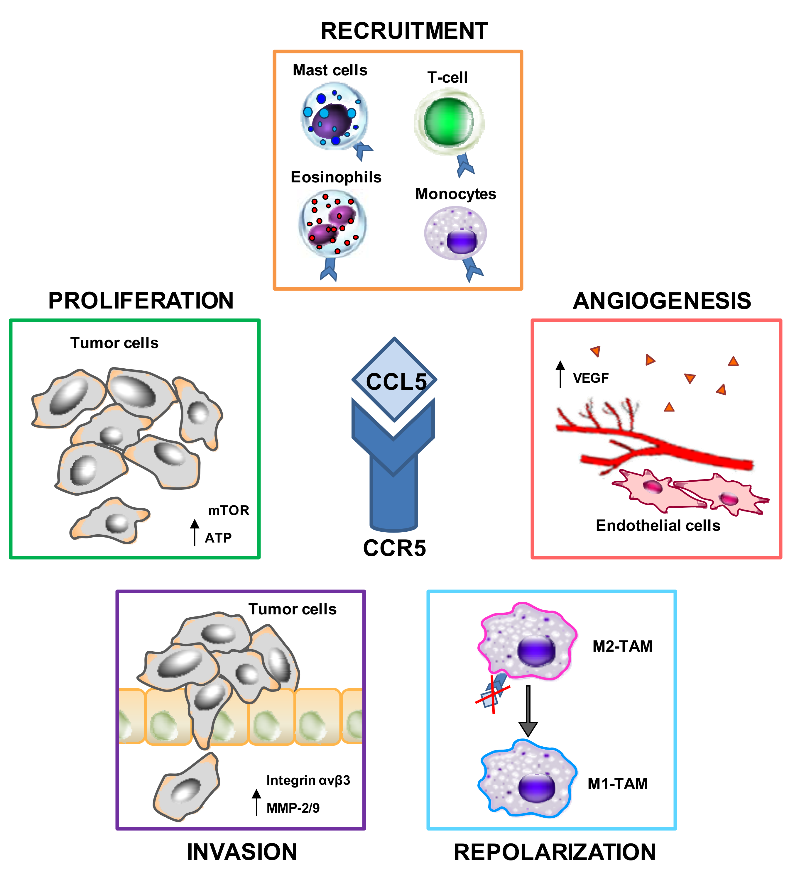 Ijms 19 01477 g001 Ijms 19 01477 g001