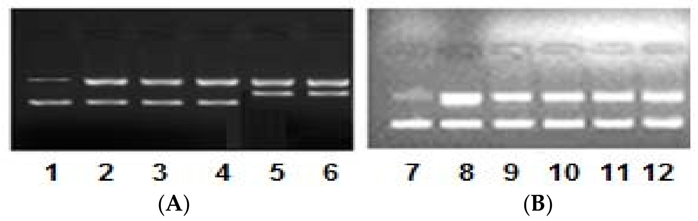 Ijms 19 01492 g005 550