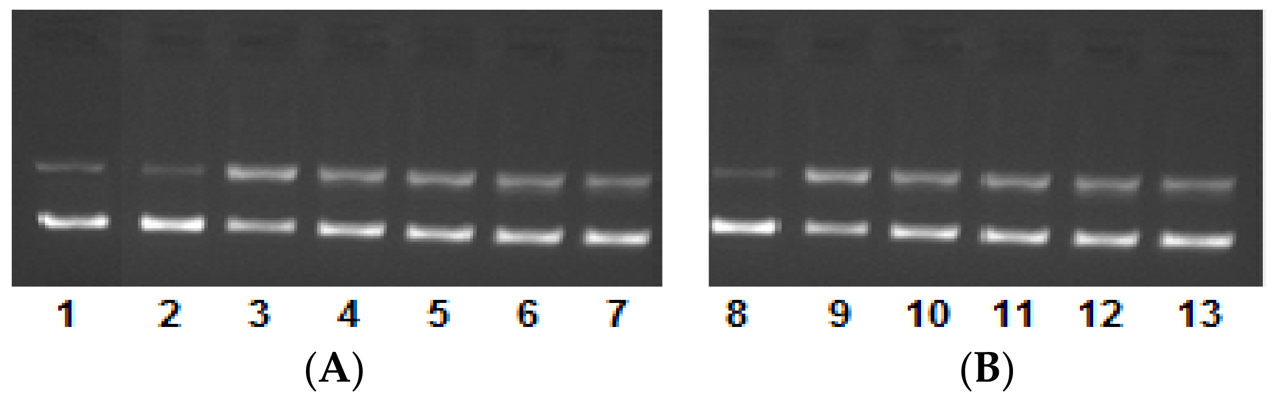 Ijms 19 01492 g006 550