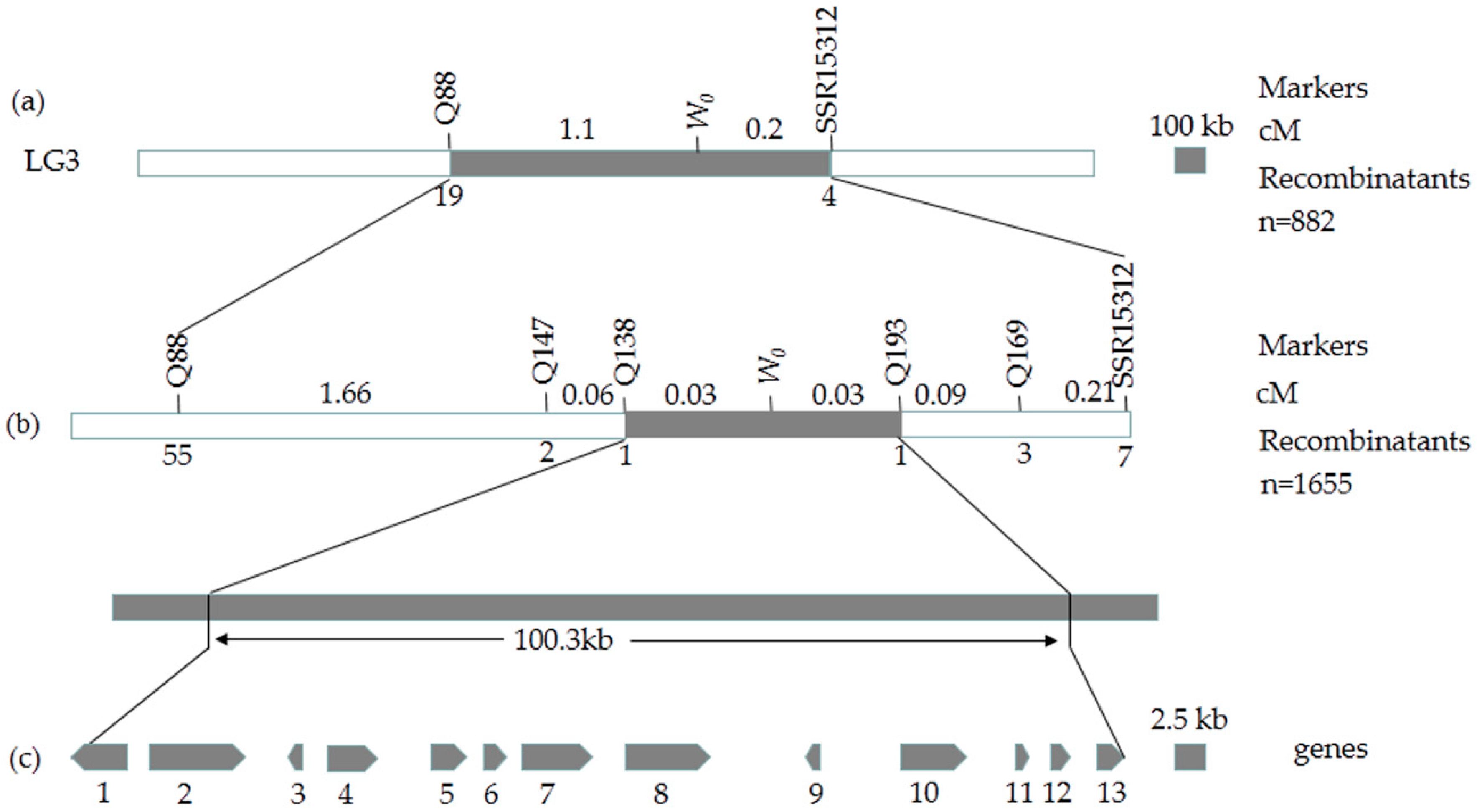 Ijms 19 01493 g004 550