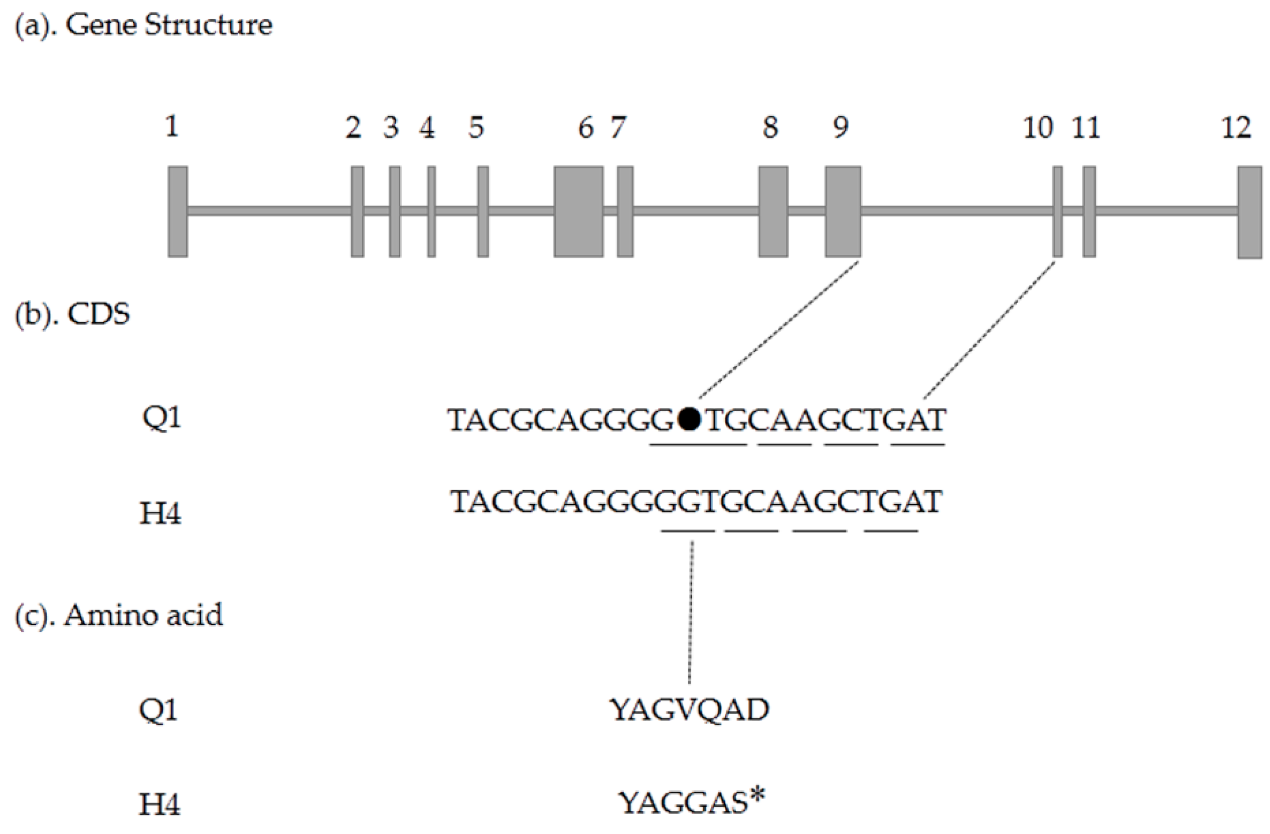 Ijms 19 01493 g008 550