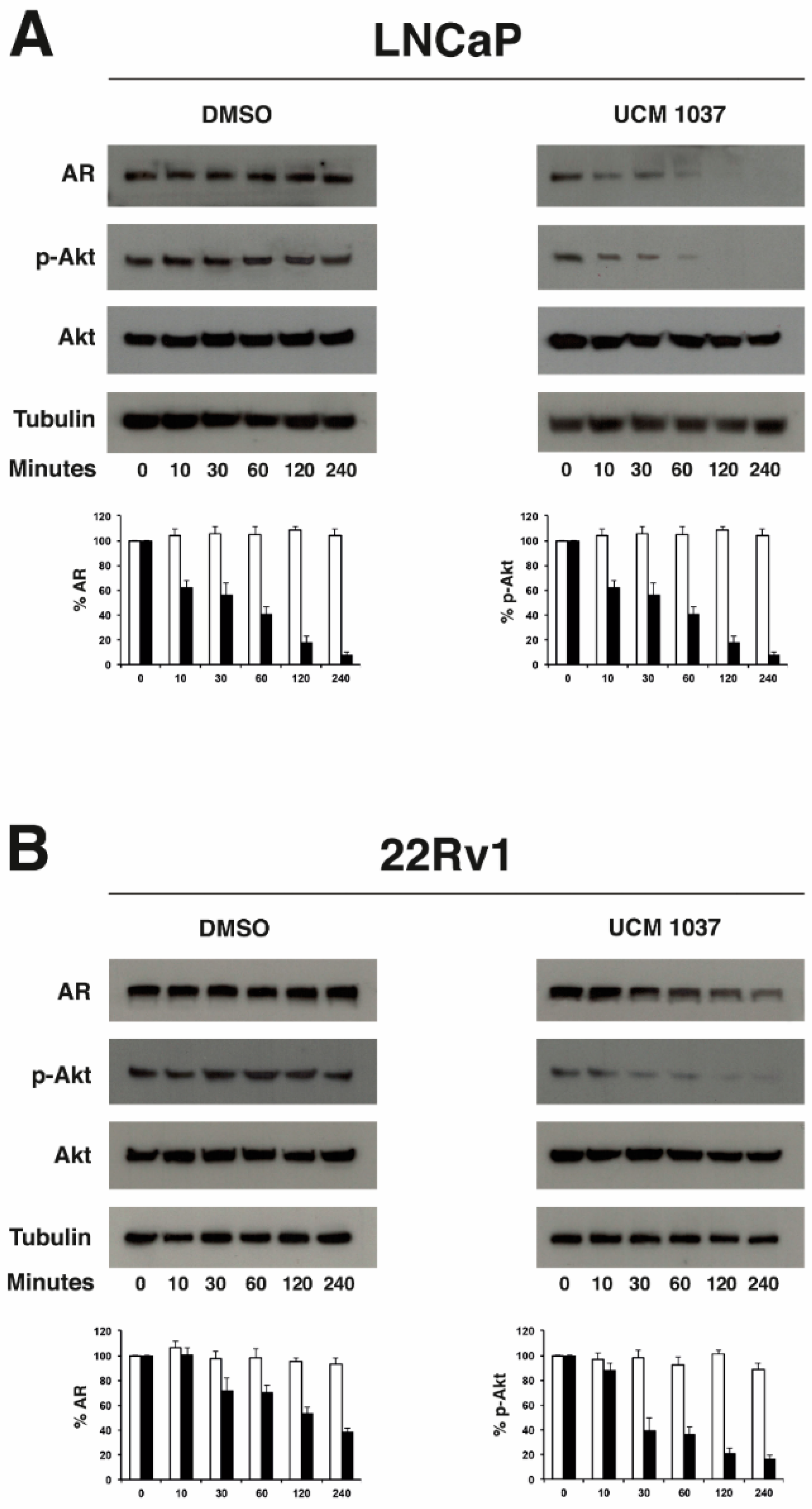 Ijms 19 01505 g007