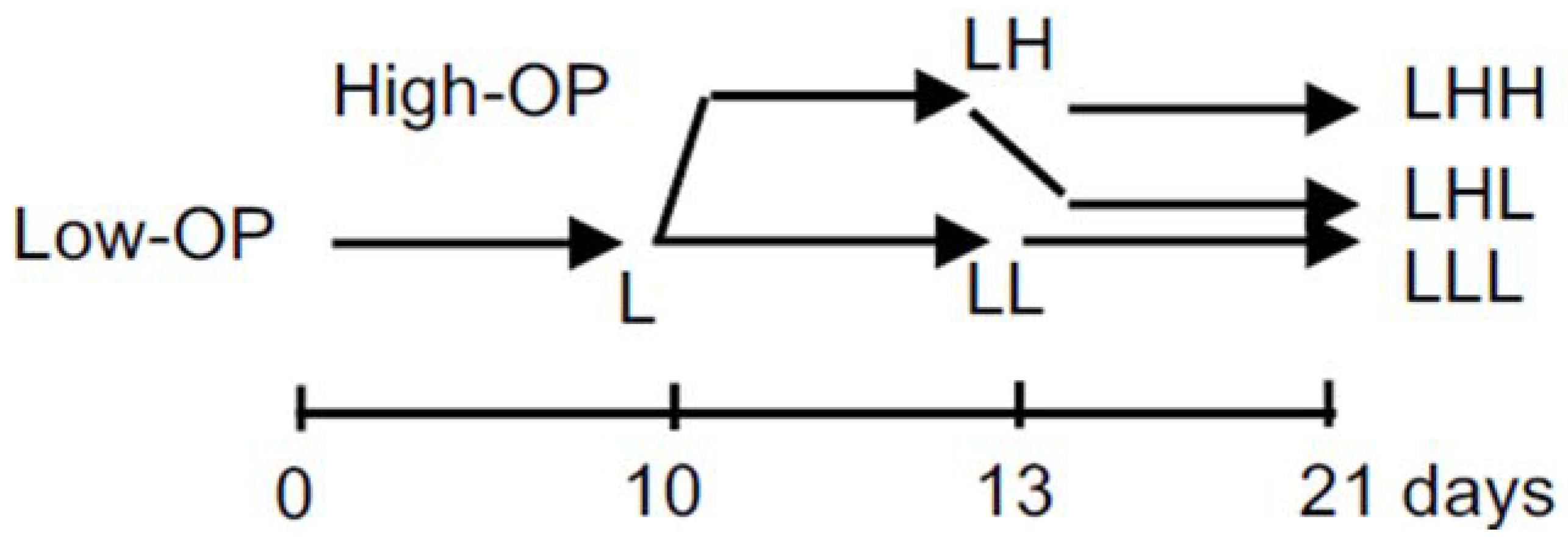 Ijms 19 01507 g001