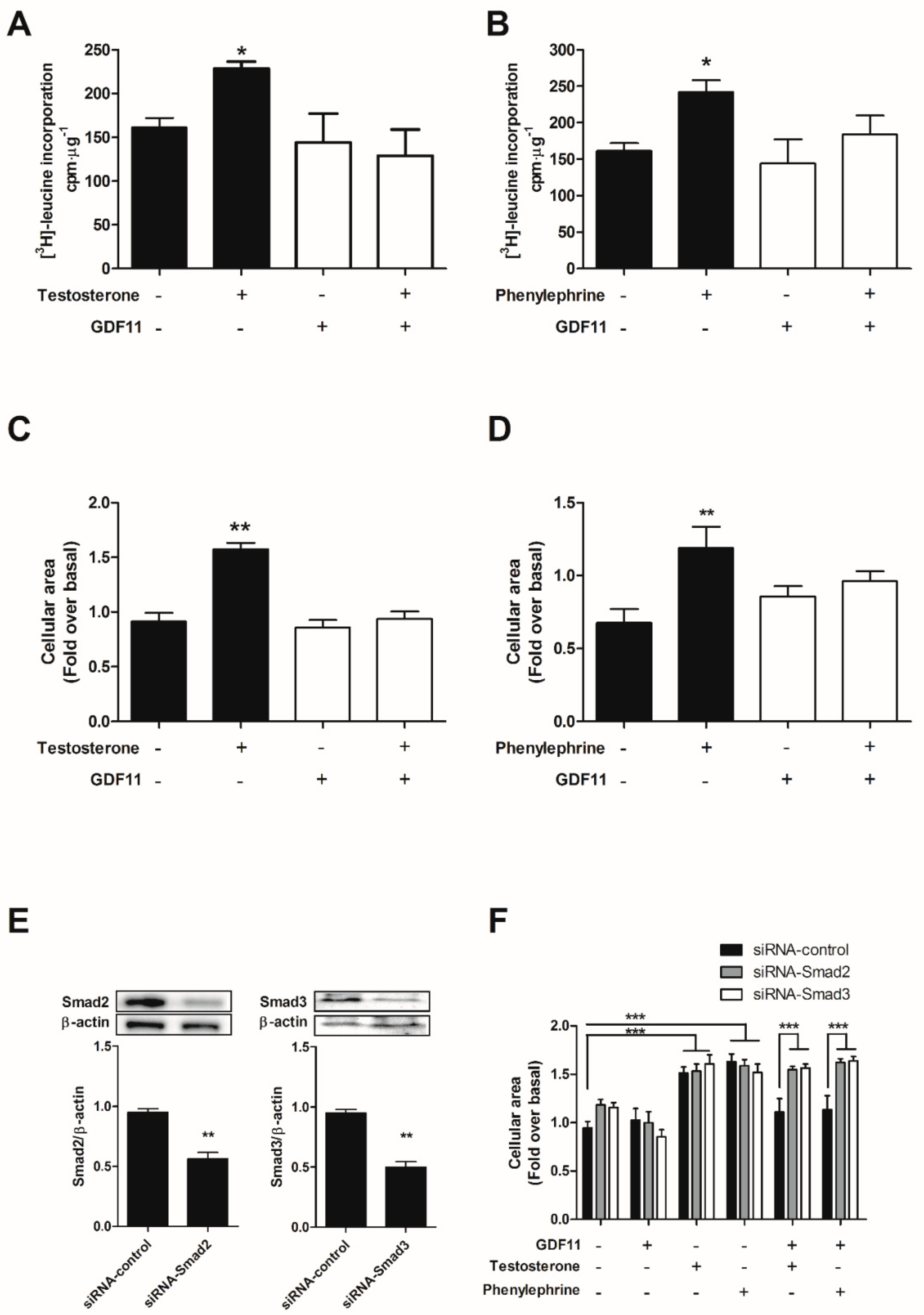 Ijms 19 01508 g005 550