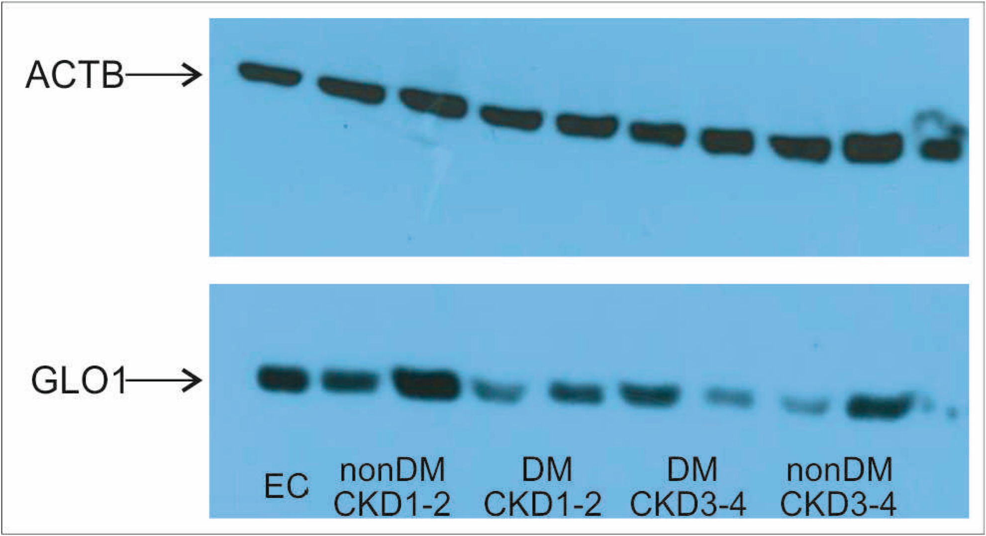 Ijms 19 01517 g002
