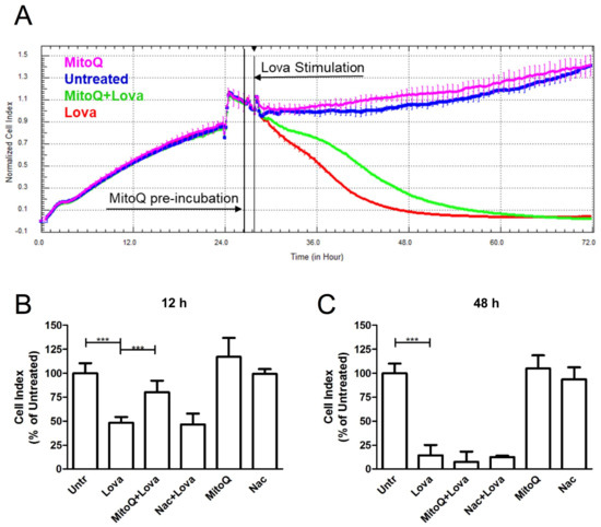 Ijms Free Full Text Neuronal Dysfunction Associated With Cholesterol Deregulation Html