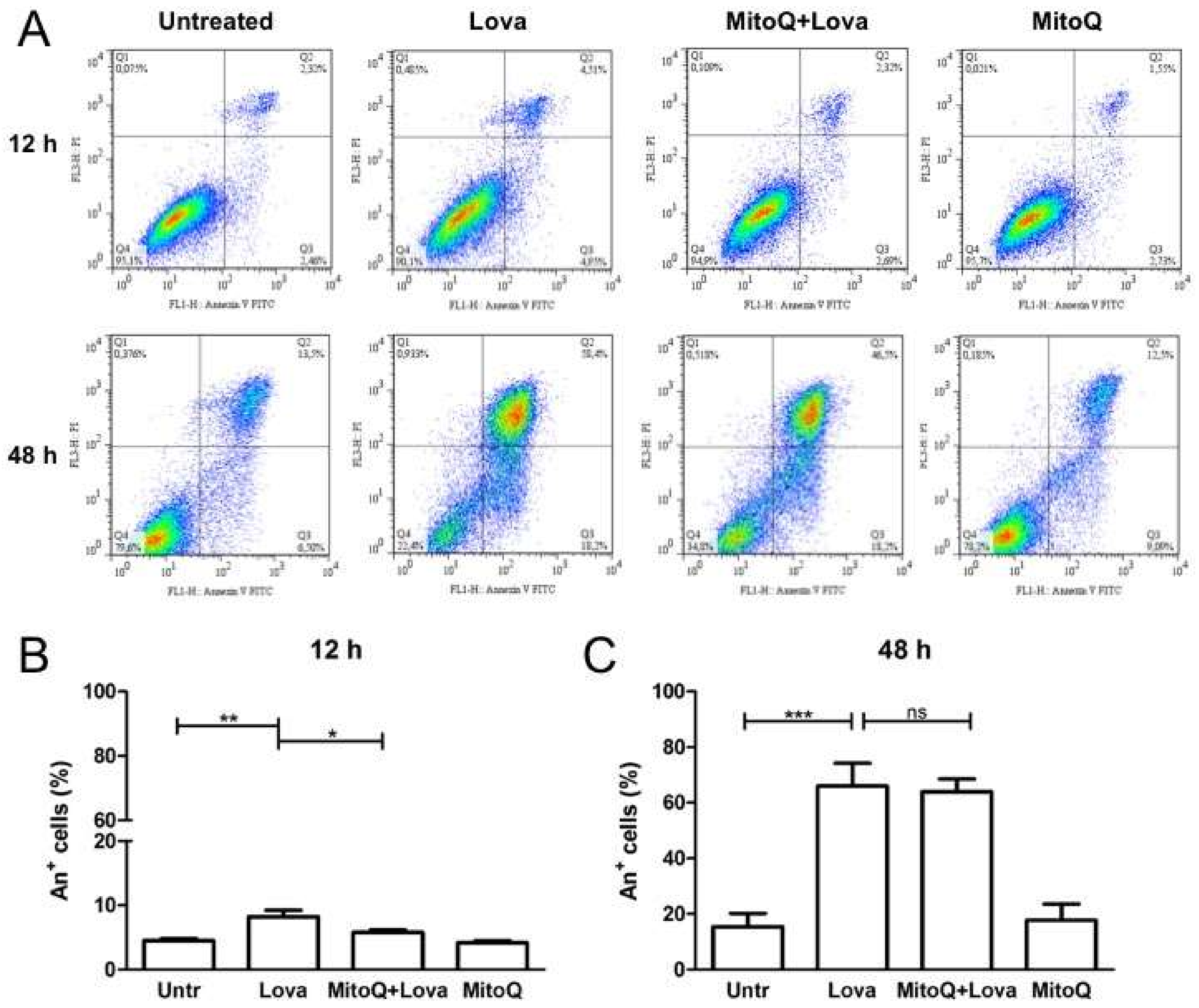 Ijms 19 01523 g004 Ijms 19 01523 g004
