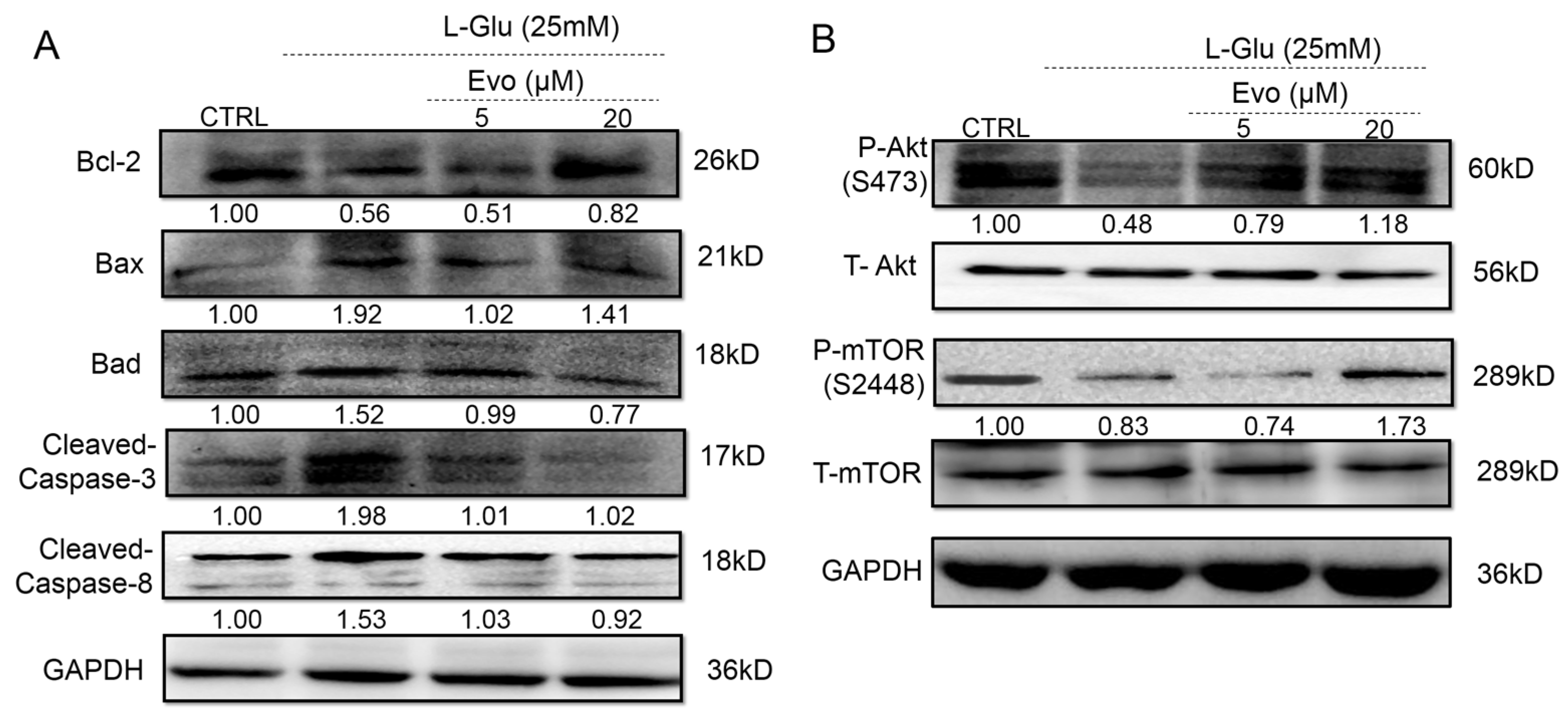 Ijms 19 01527 g003 550