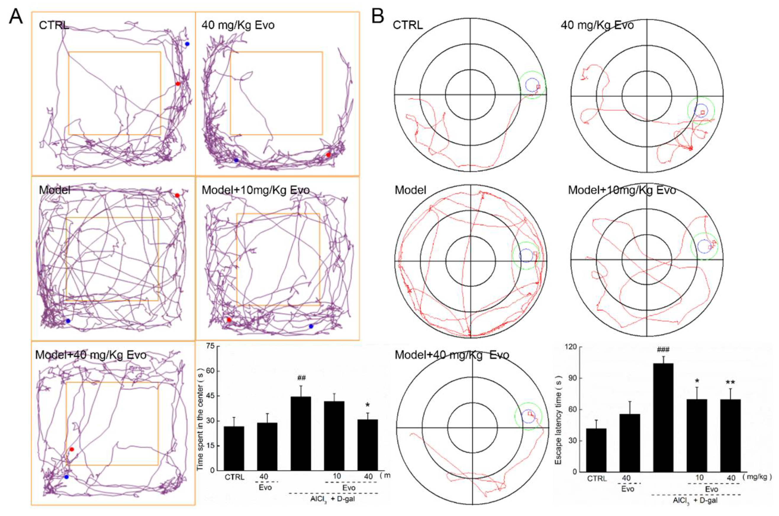 Ijms 19 01527 g004 550