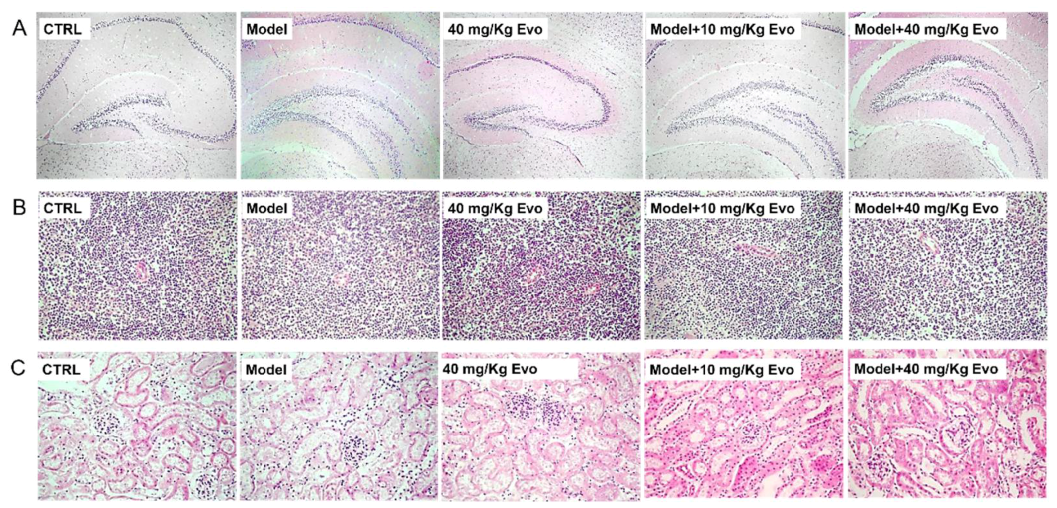 Ijms 19 01527 g006 550