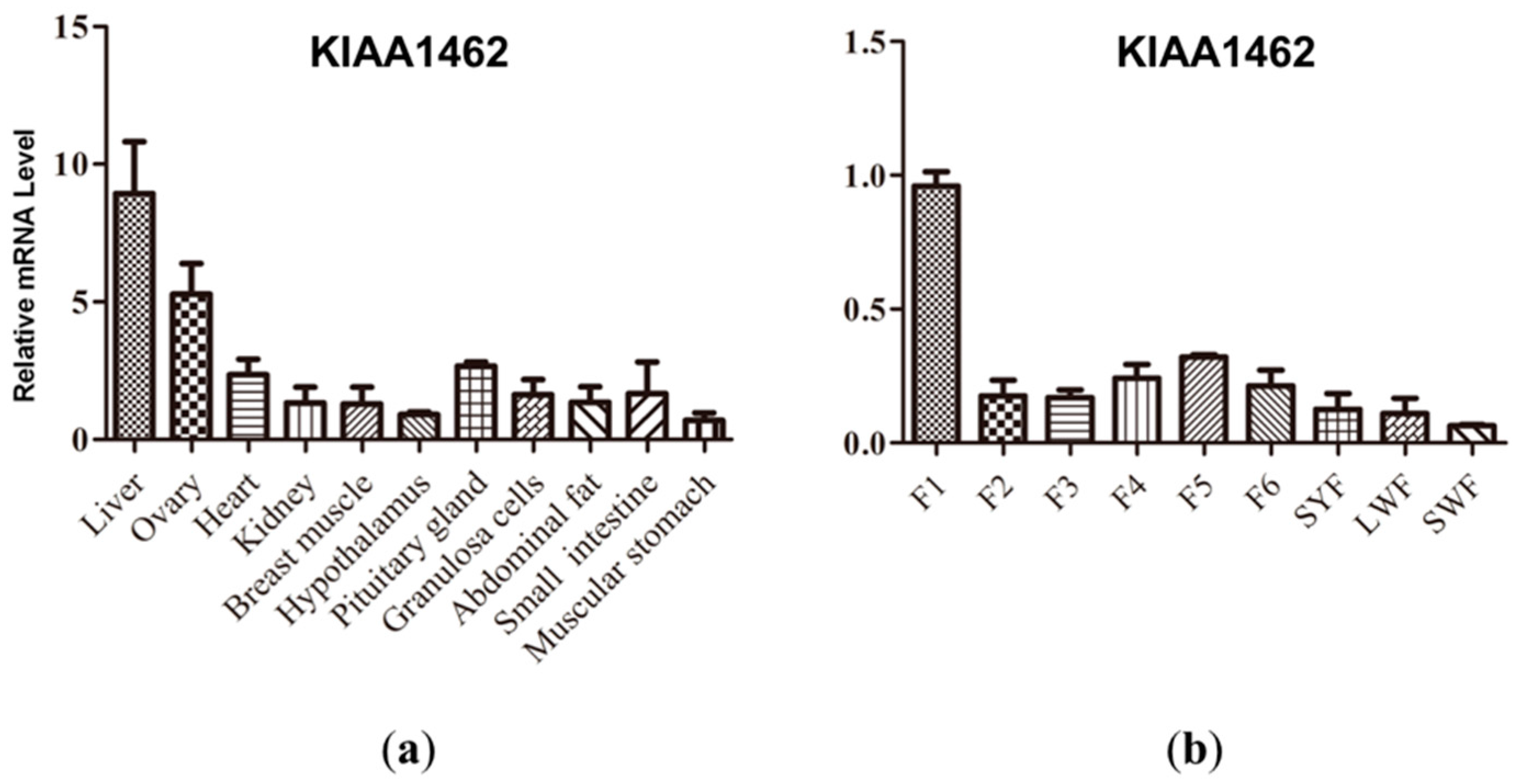 Ijms 19 01531 g001 Ijms 19 01531 g001