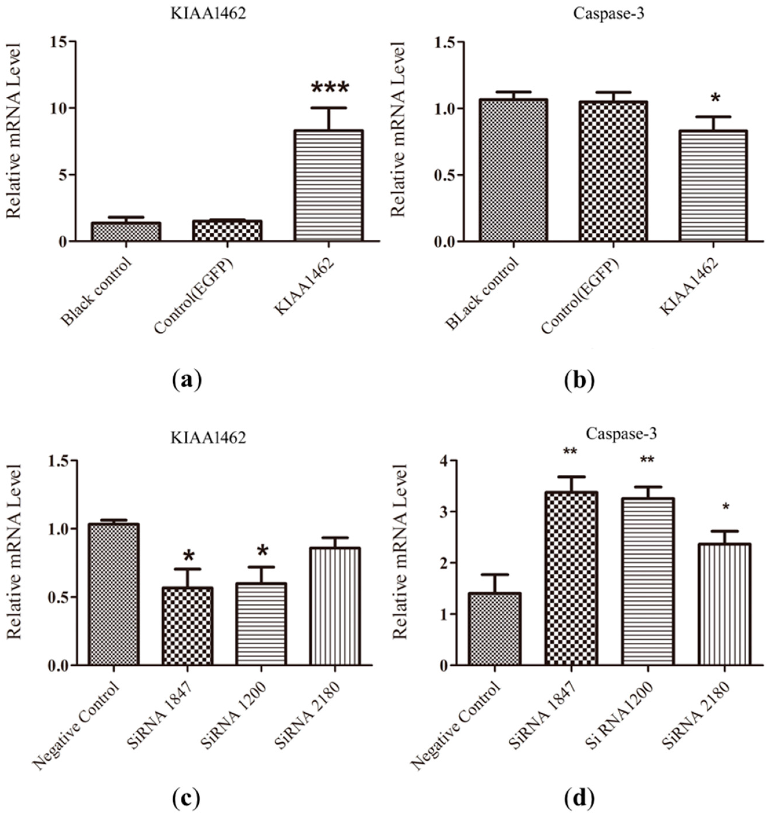 Ijms 19 01531 g003 Ijms 19 01531 g003