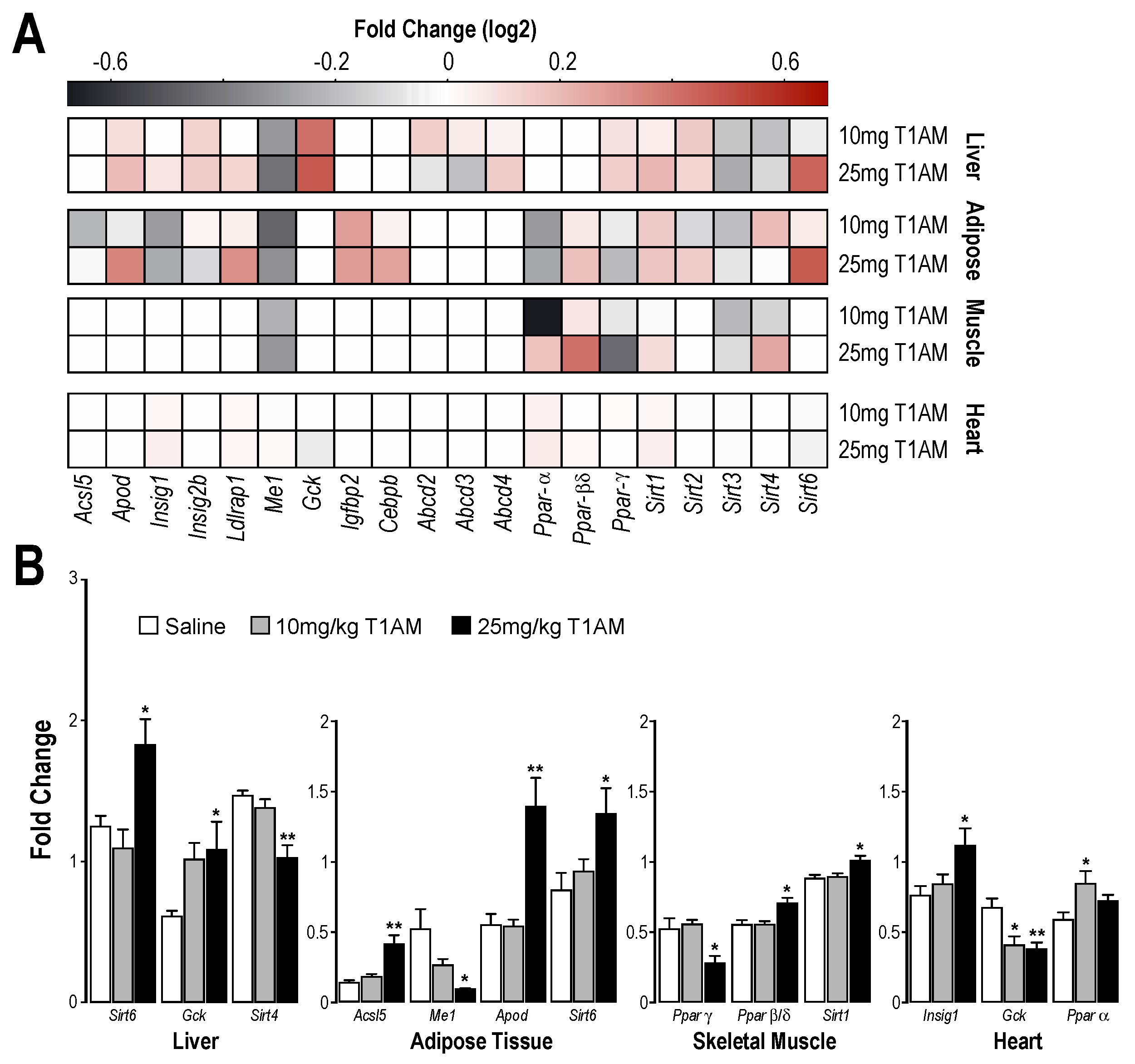 Ijms 19 01535 g005 Ijms 19 01535 g005