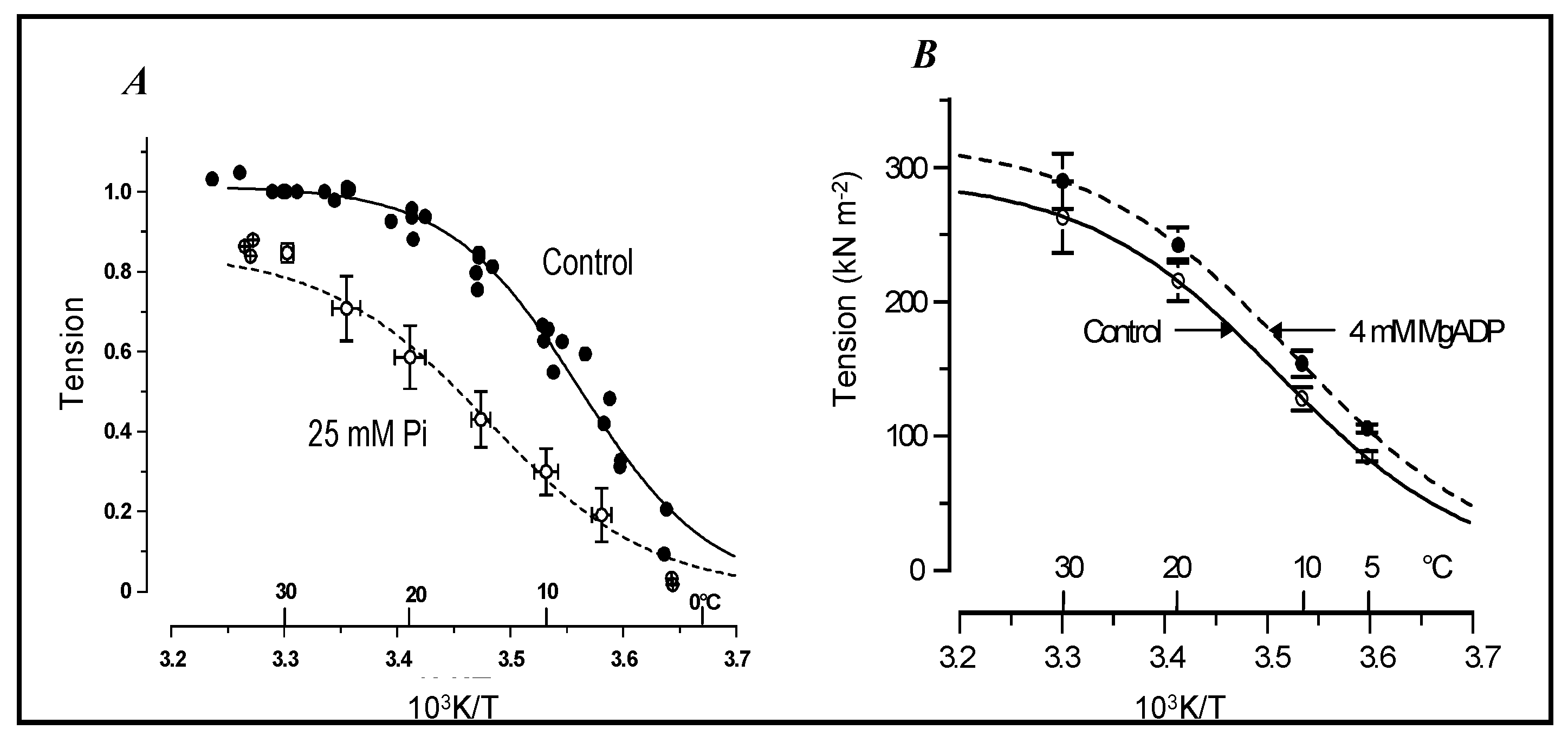 effect of temperature on simple muscle twitch