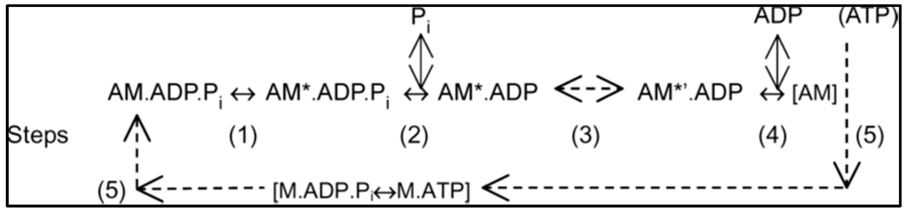 Ijms 19 01538 sch001