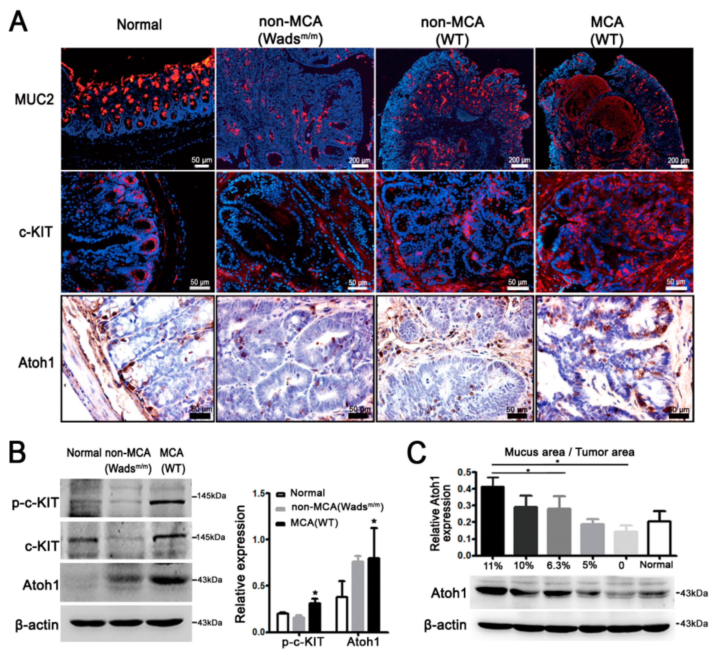 Ijms 19 01541 g002 Ijms 19 01541 g002
