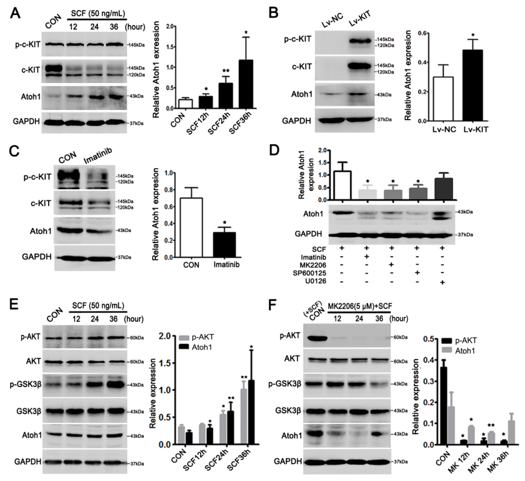 Ijms 19 01541 g003 Ijms 19 01541 g003