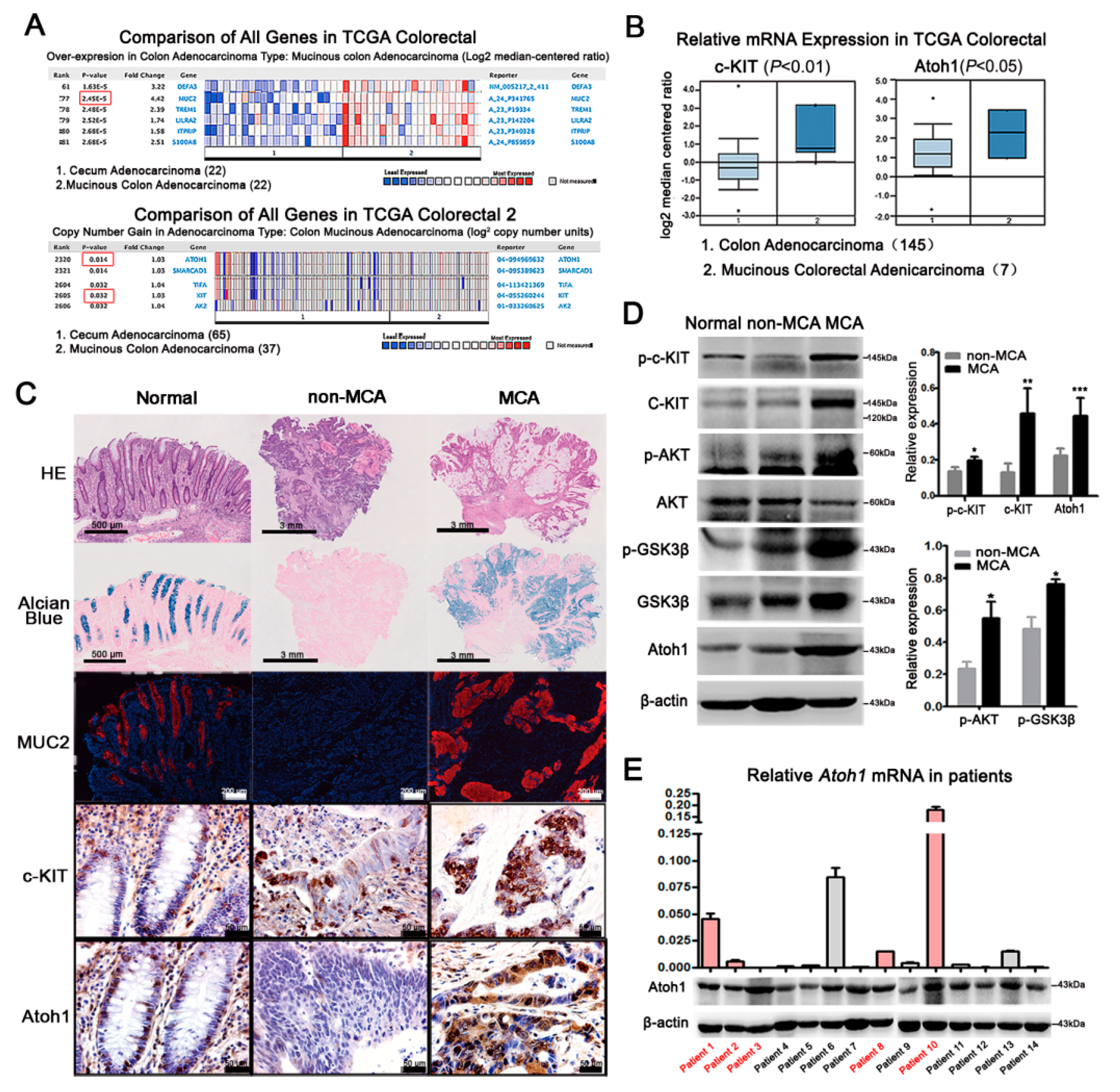 Ijms 19 01541 g004 Ijms 19 01541 g004