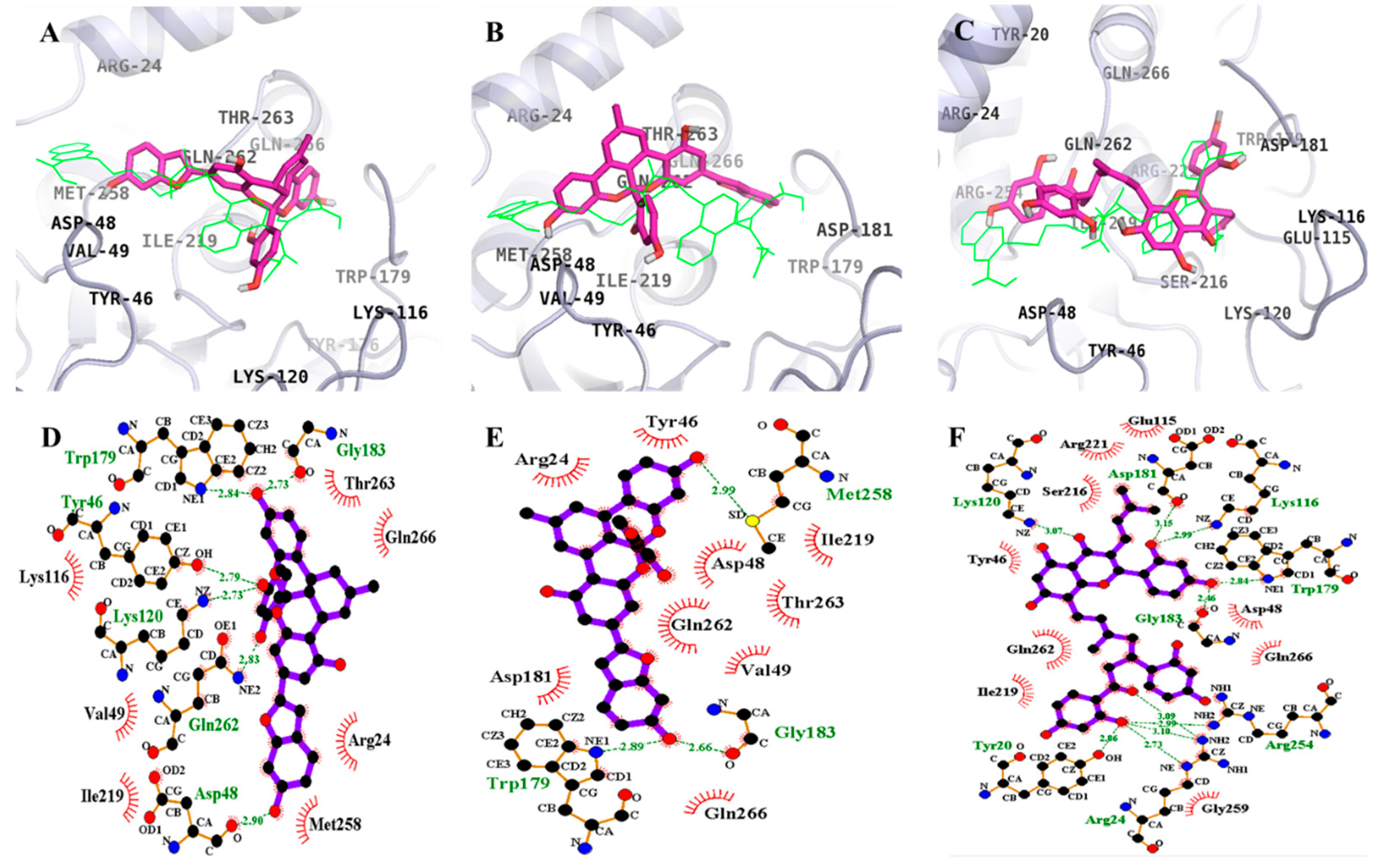 Ijms 19 01542 g003 550