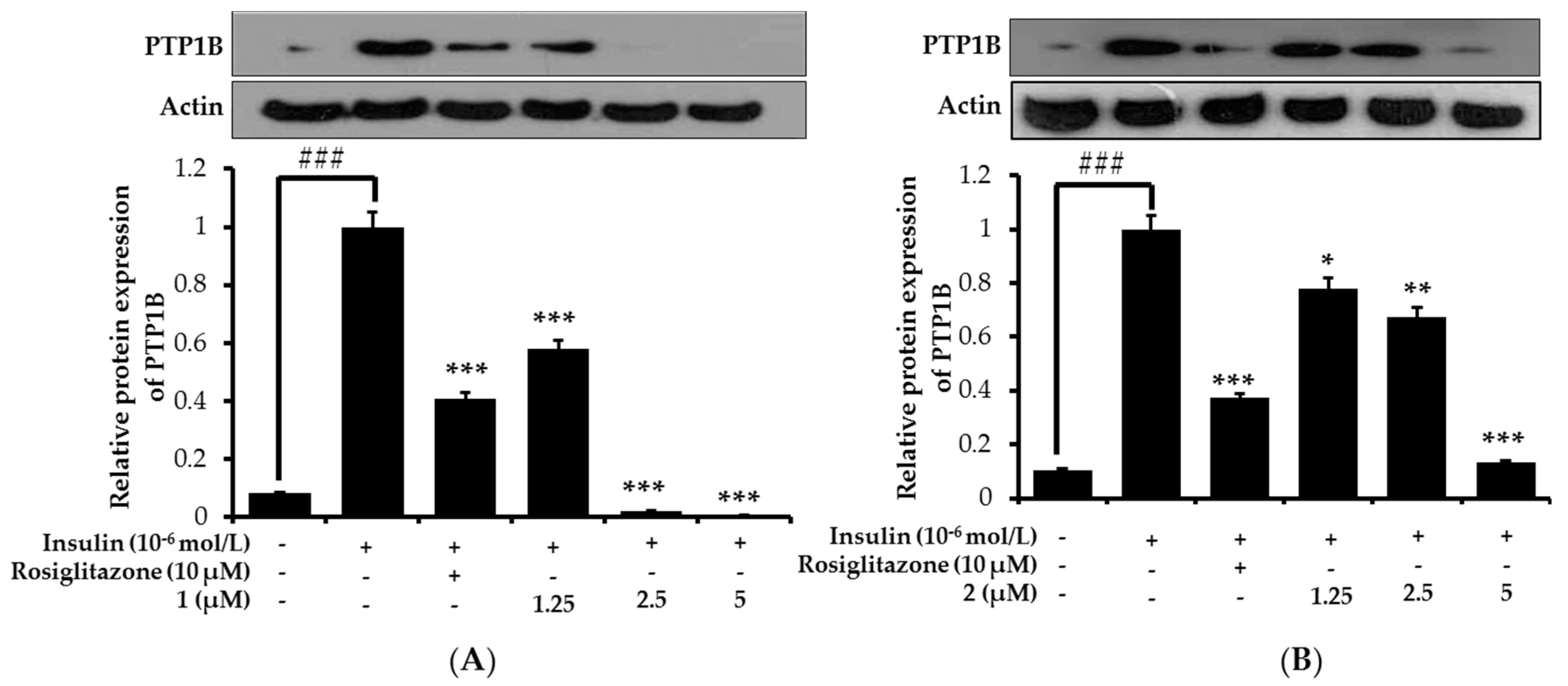 Ijms 19 01542 g008a 550