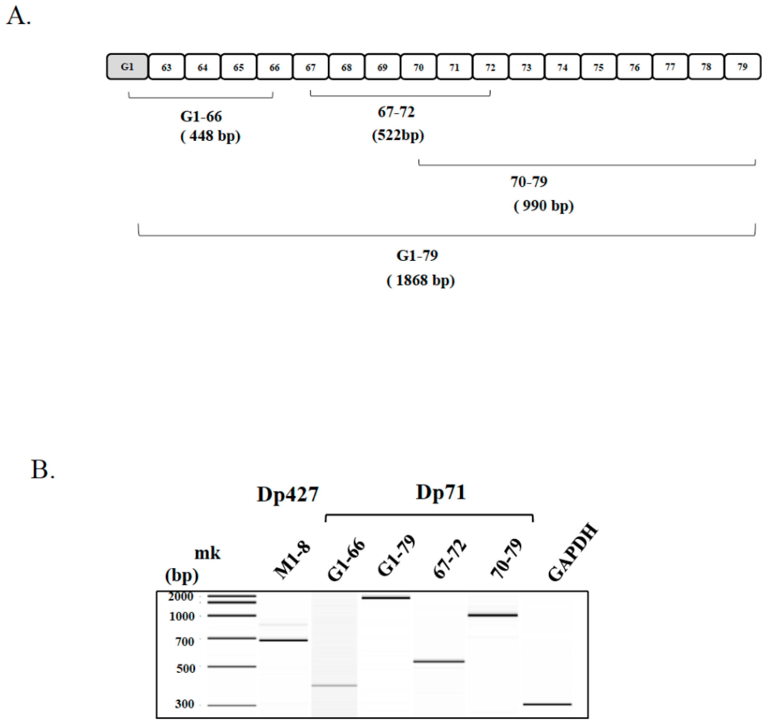 Ijms 19 01546 g001 Ijms 19 01546 g001