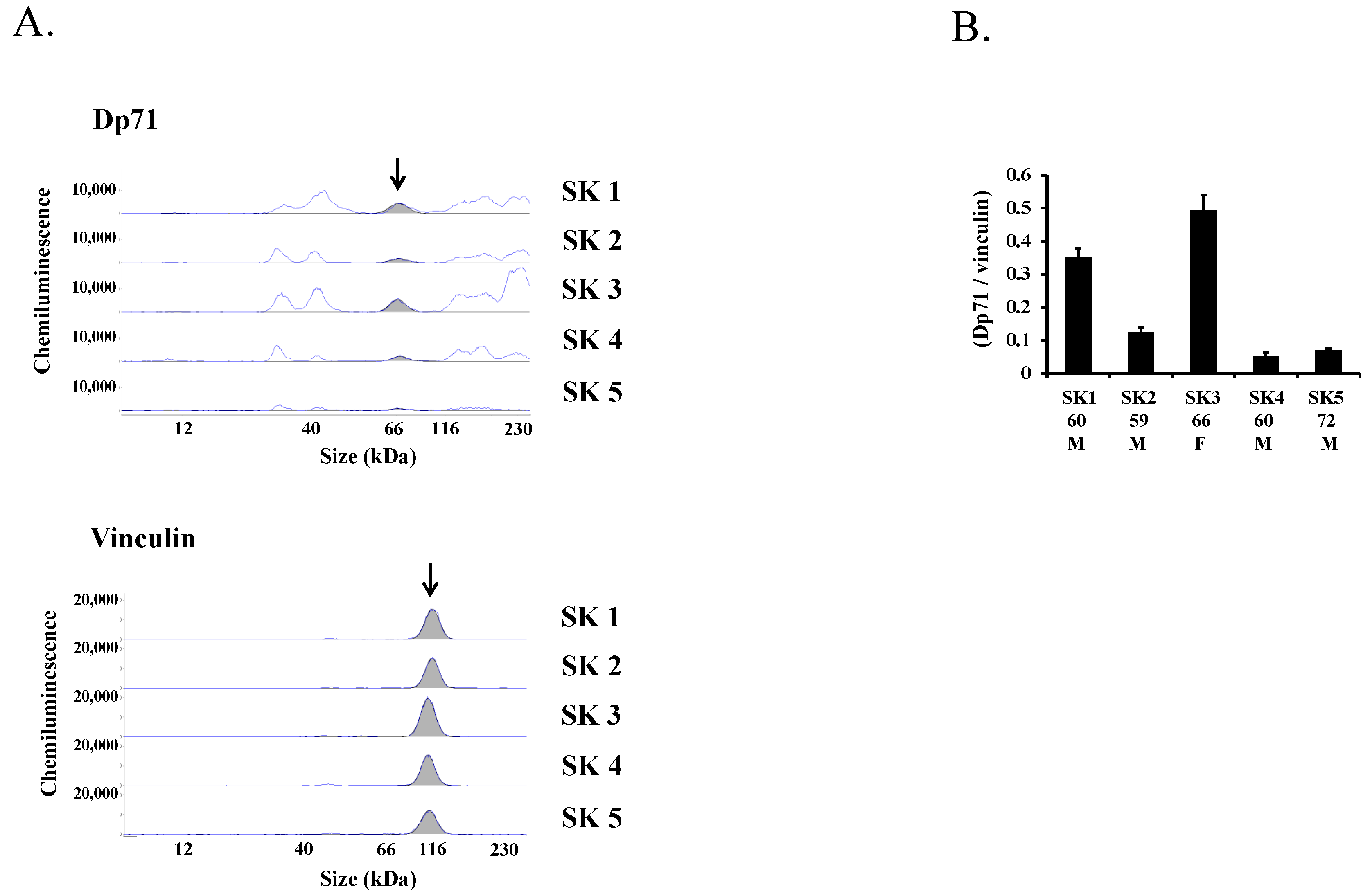 Ijms 19 01546 g006 Ijms 19 01546 g006