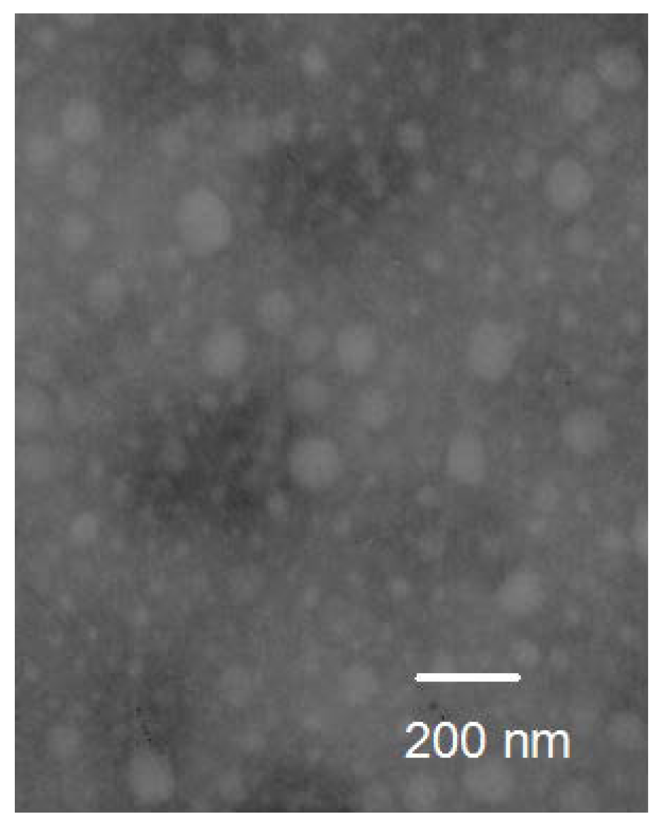 Ijms 19 01550 g005 550