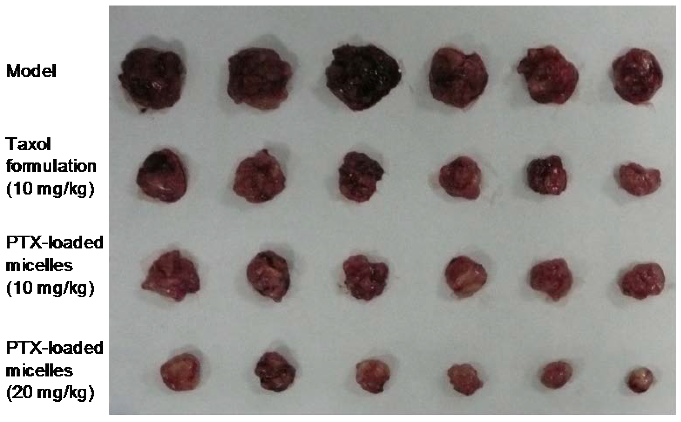 Ijms 19 01550 g007 550