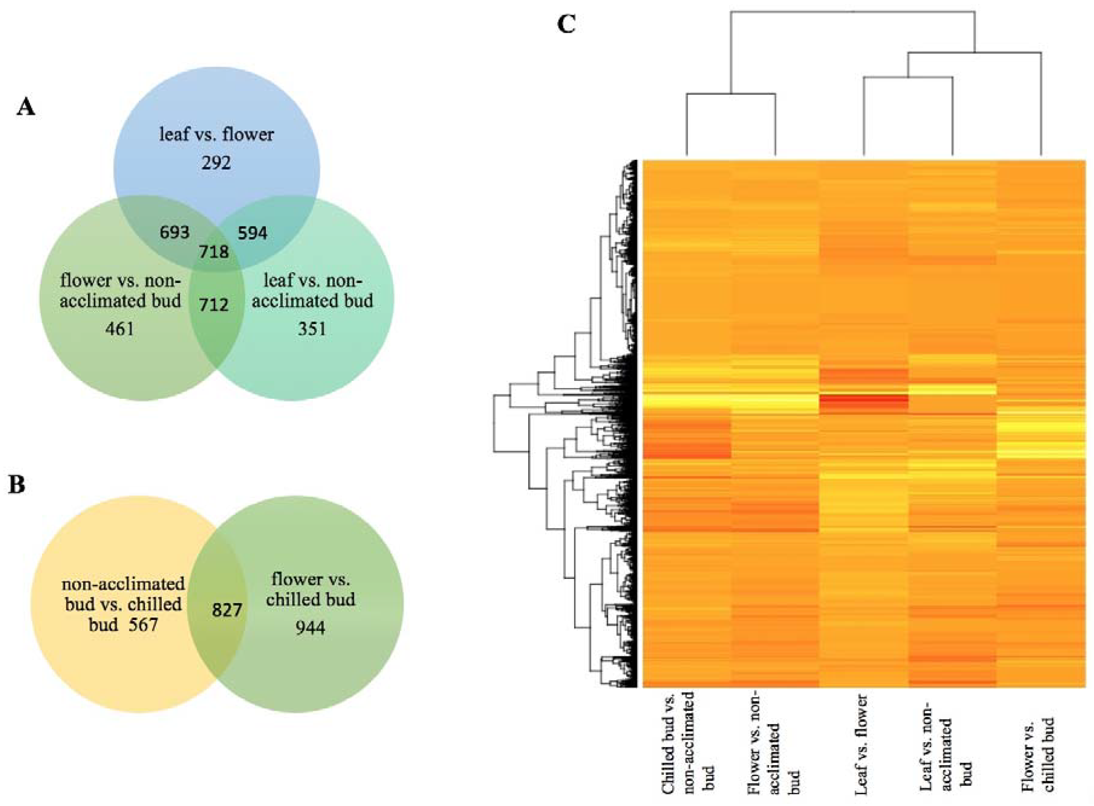 Ijms 19 01553 g001 Ijms 19 01553 g001