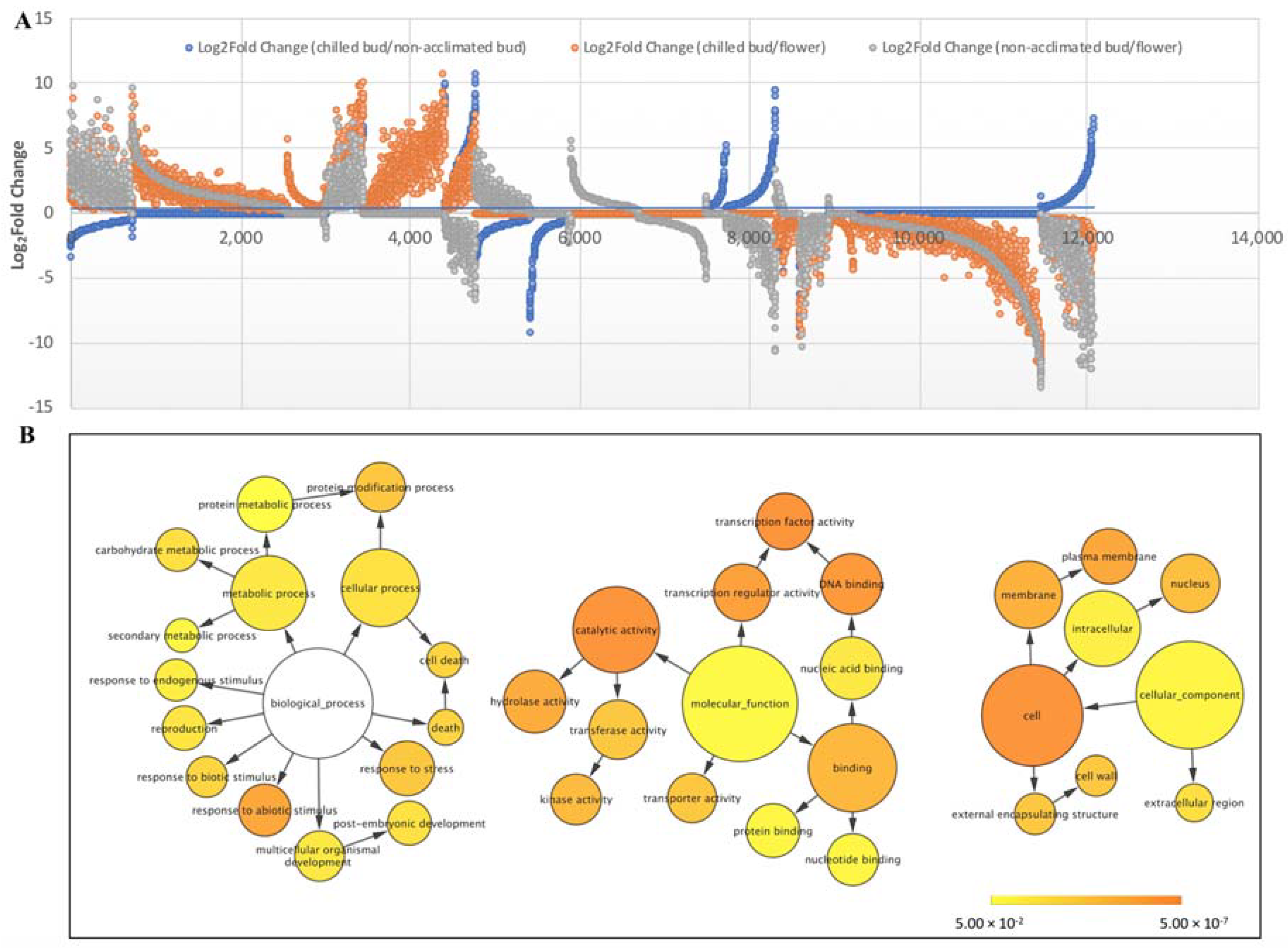 Ijms 19 01553 g002 Ijms 19 01553 g002