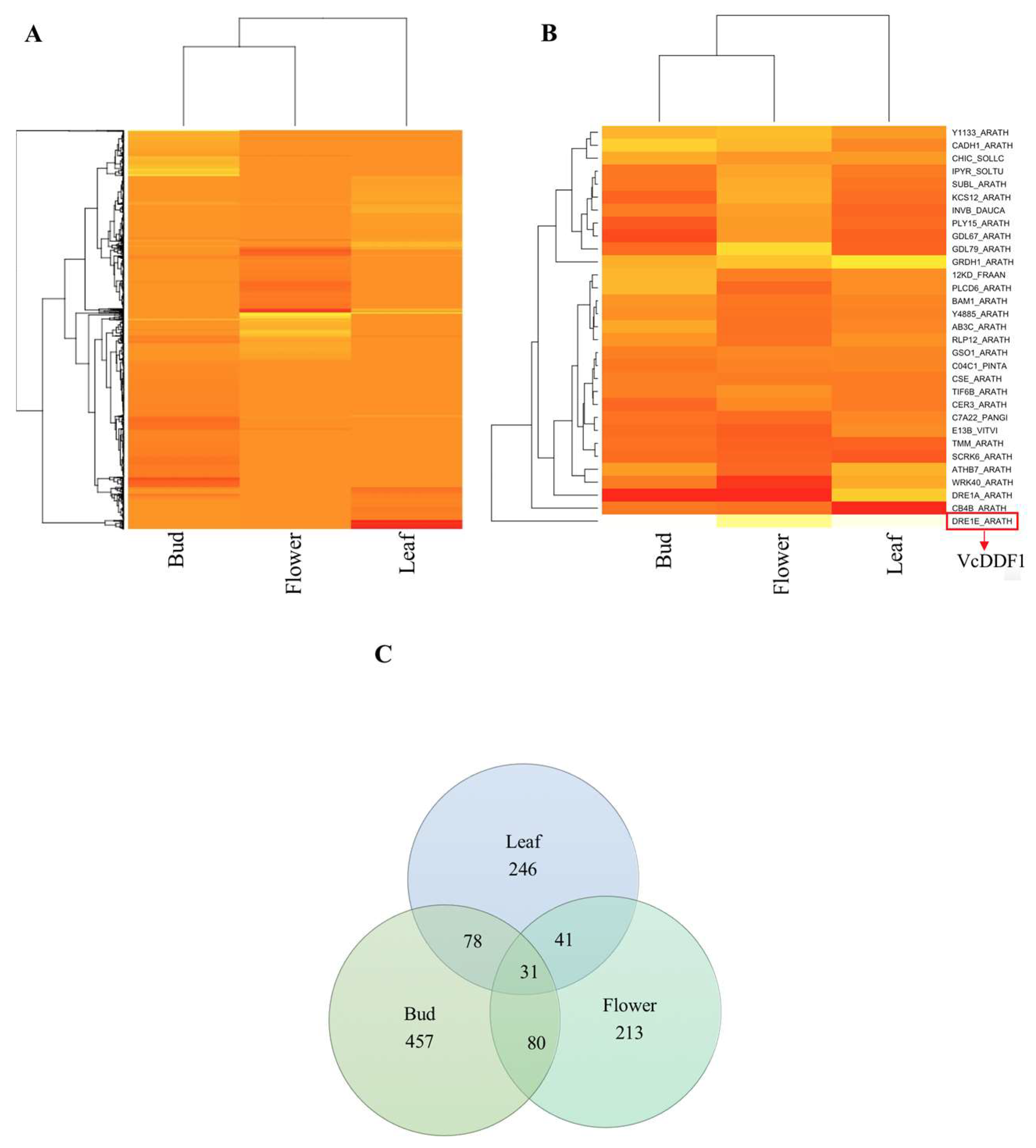 Ijms 19 01553 g003 Ijms 19 01553 g003