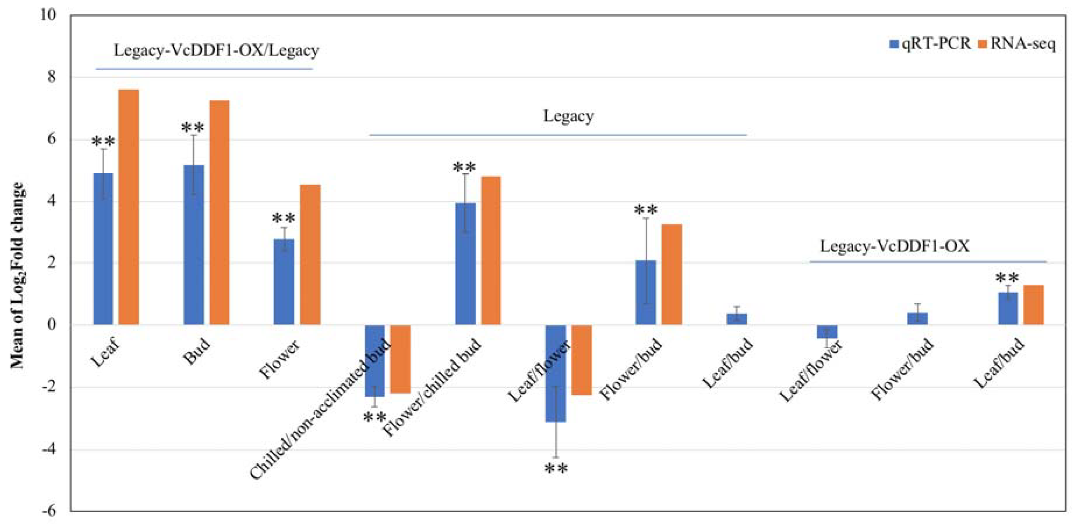 Ijms 19 01553 g004 Ijms 19 01553 g004