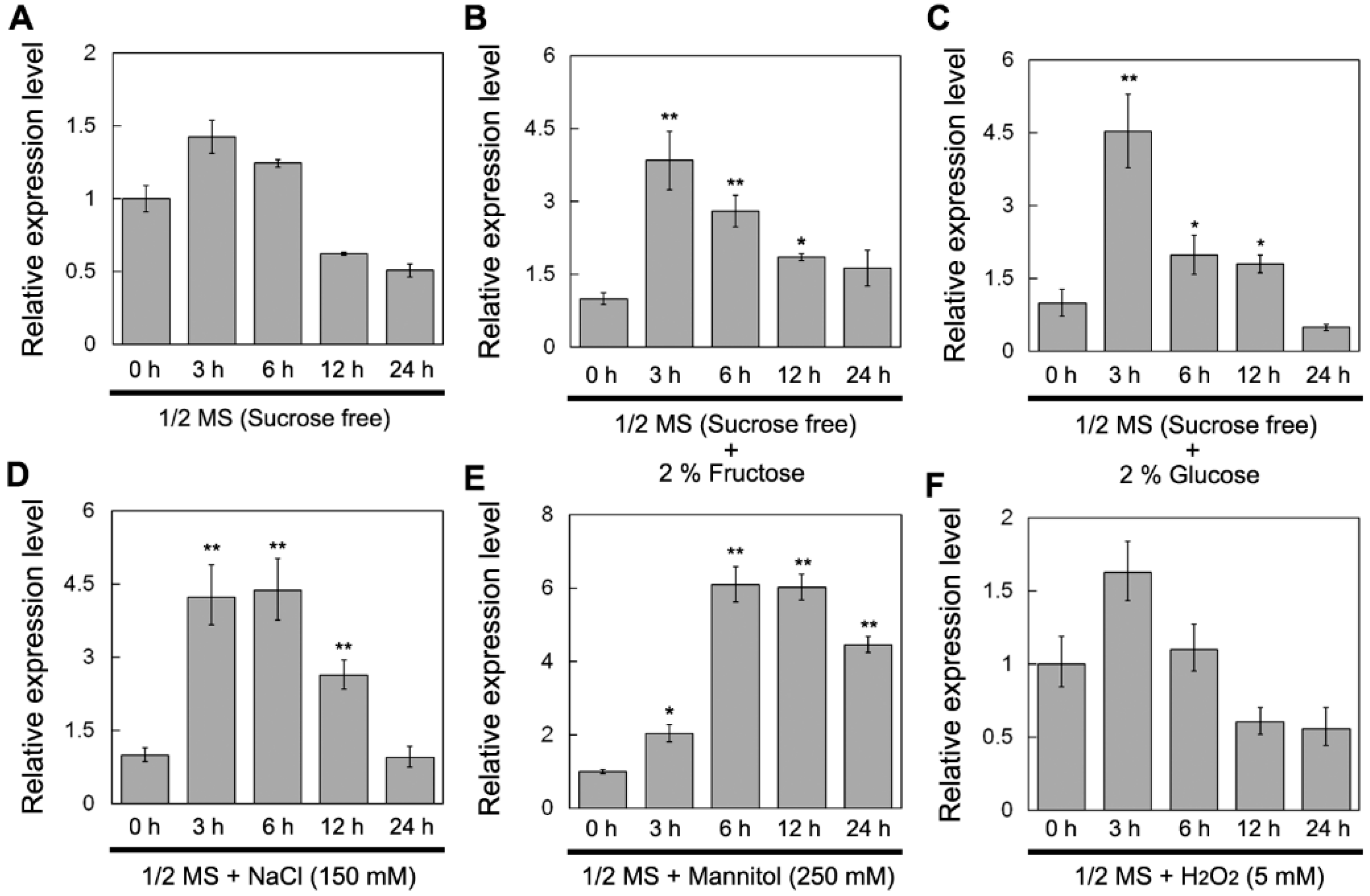 Ijms 19 01564 g002 Ijms 19 01564 g002