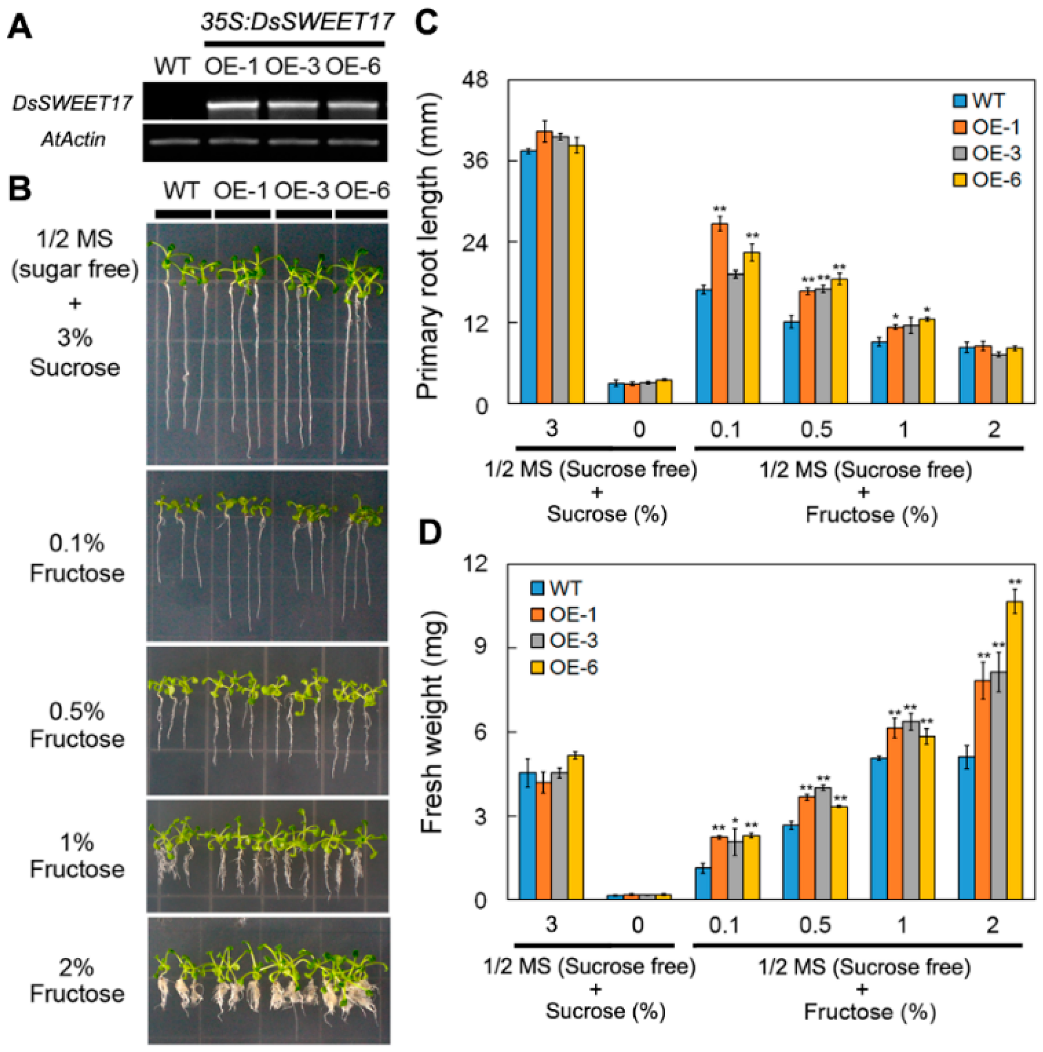 Ijms 19 01564 g004 Ijms 19 01564 g004