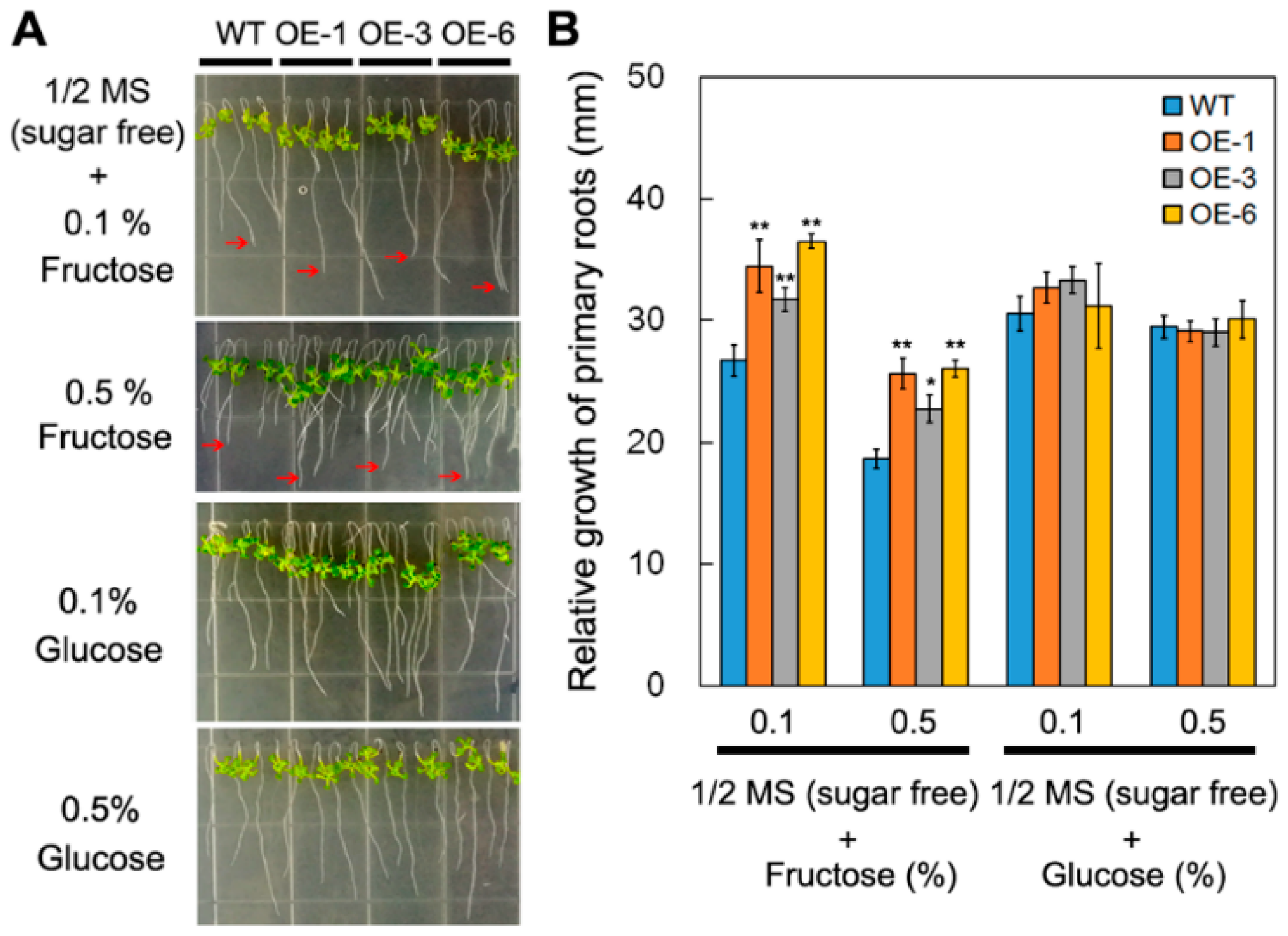 Ijms 19 01564 g005 Ijms 19 01564 g005