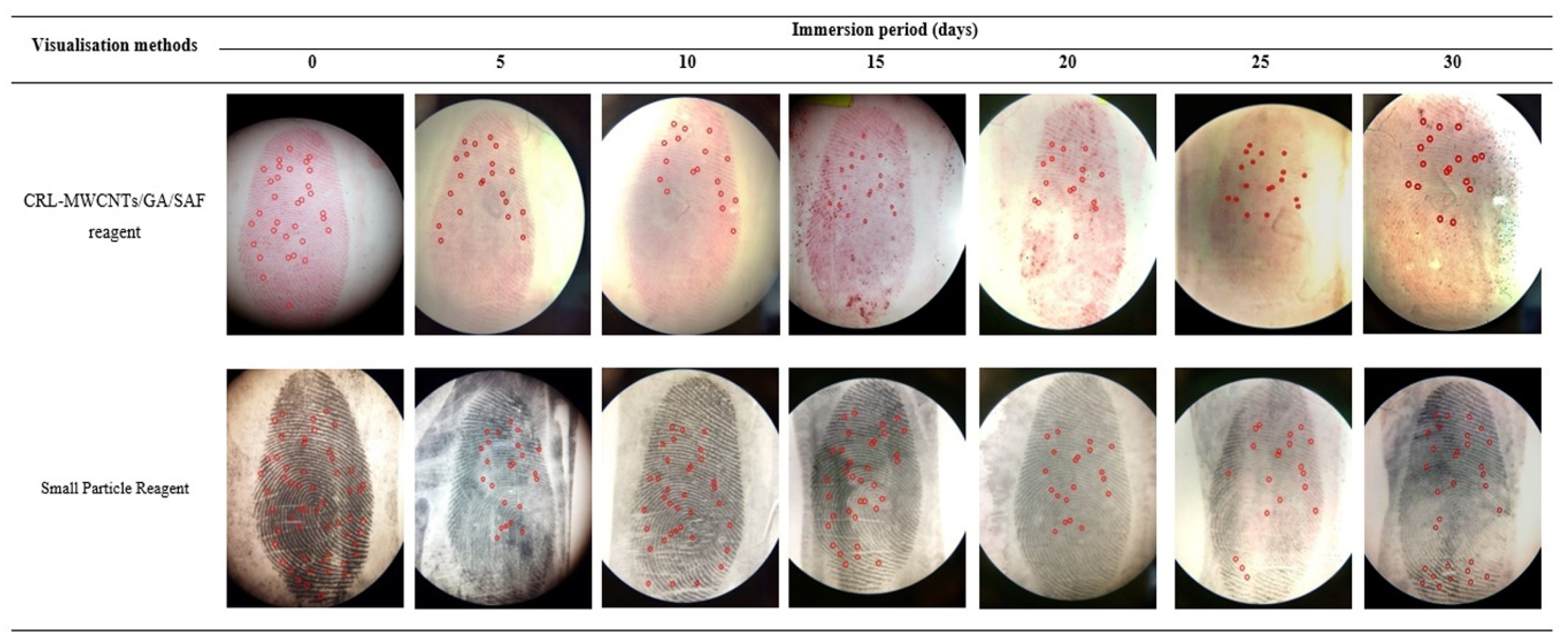Ijms 19 01576 g003 Ijms 19 01576 g003