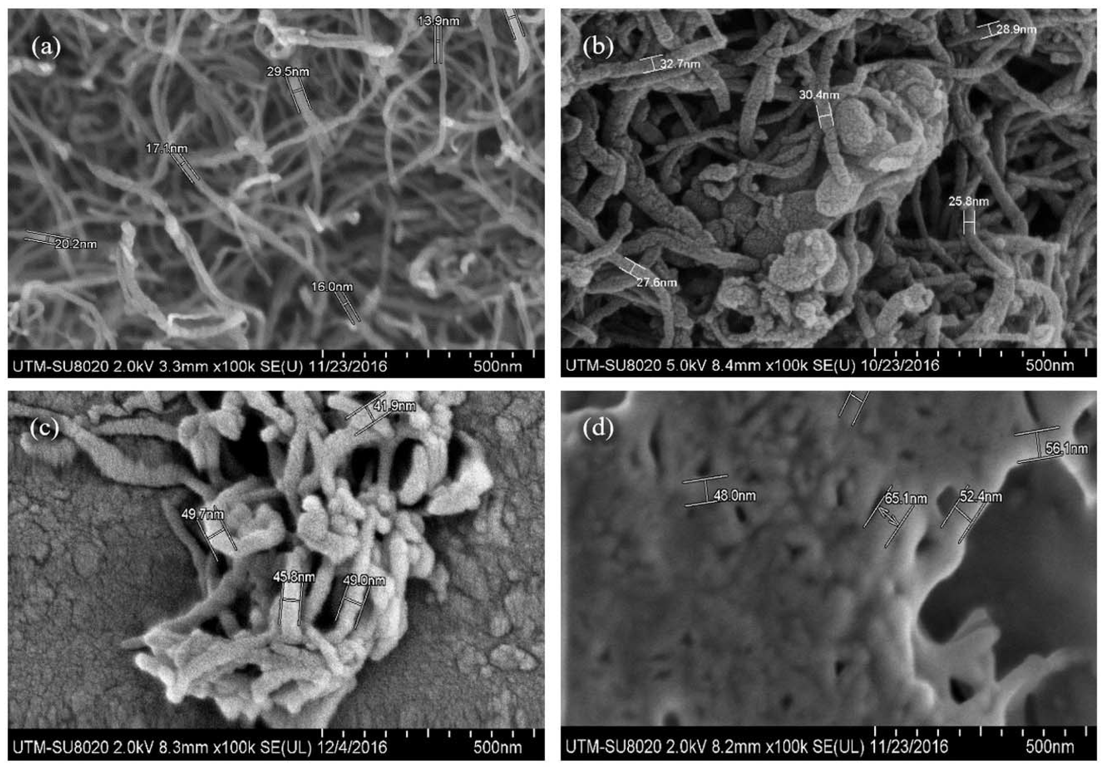 Ijms 19 01576 g004 Ijms 19 01576 g004