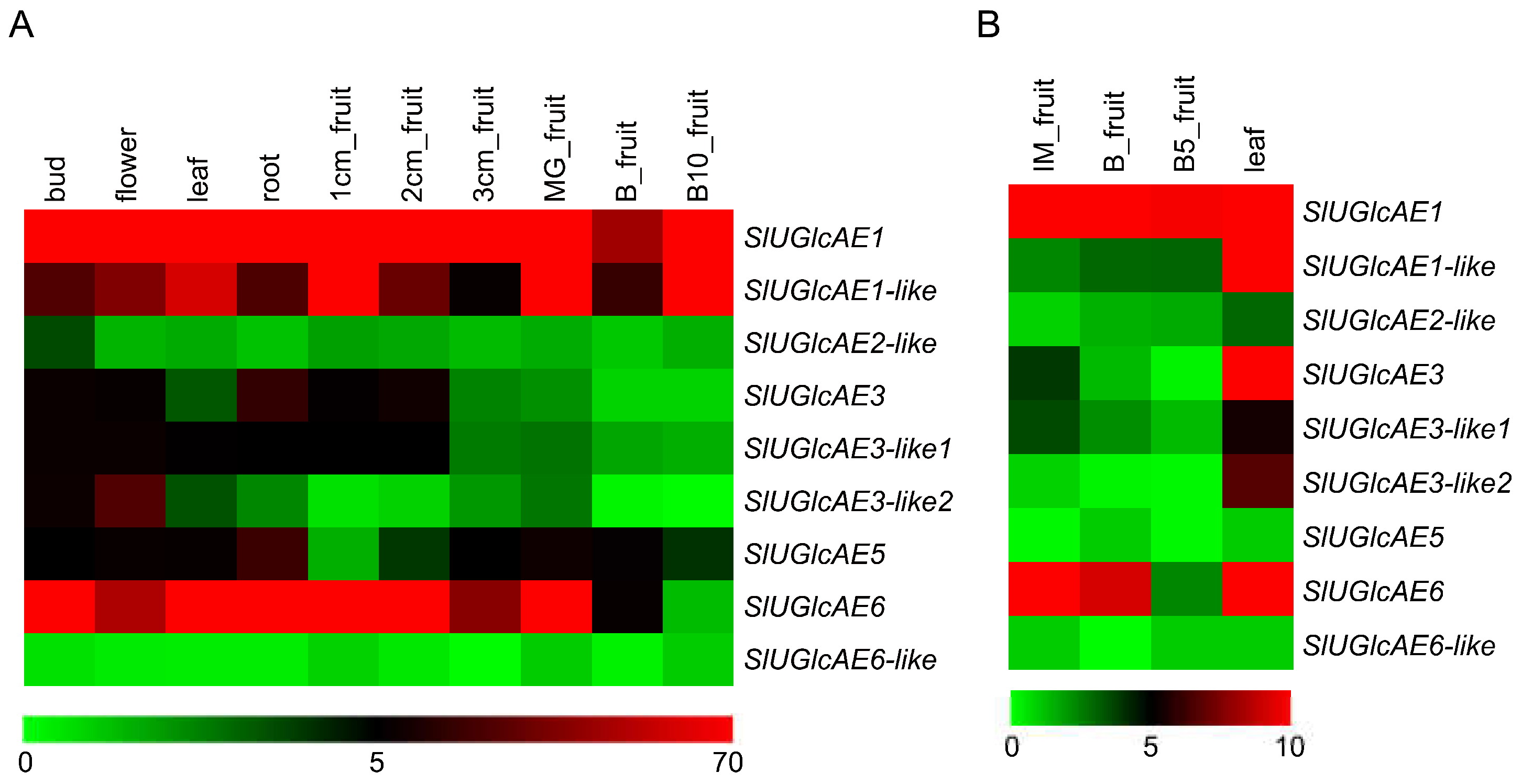 Ijms 19 01583 g005 Ijms 19 01583 g005