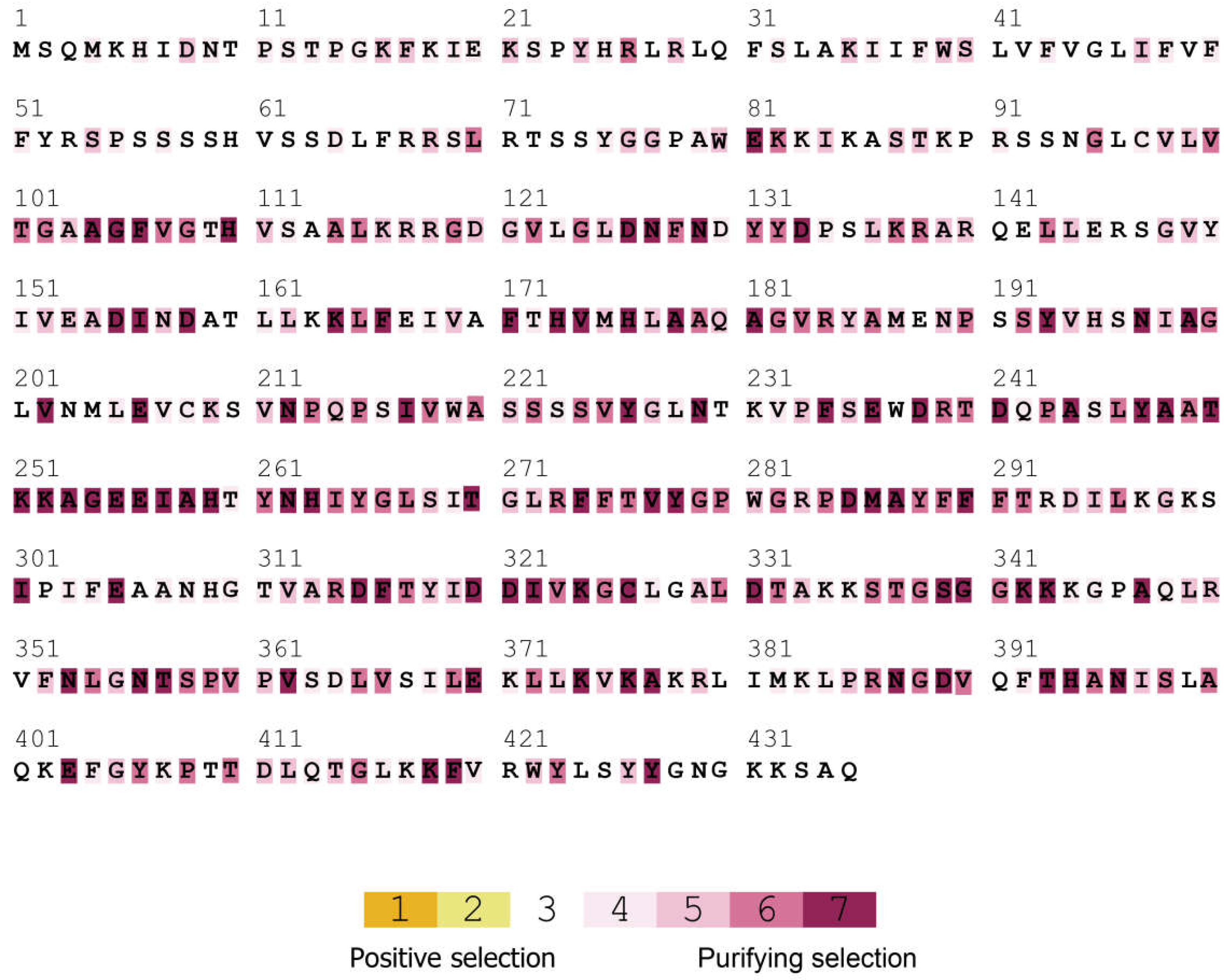 Ijms 19 01583 g007 Ijms 19 01583 g007