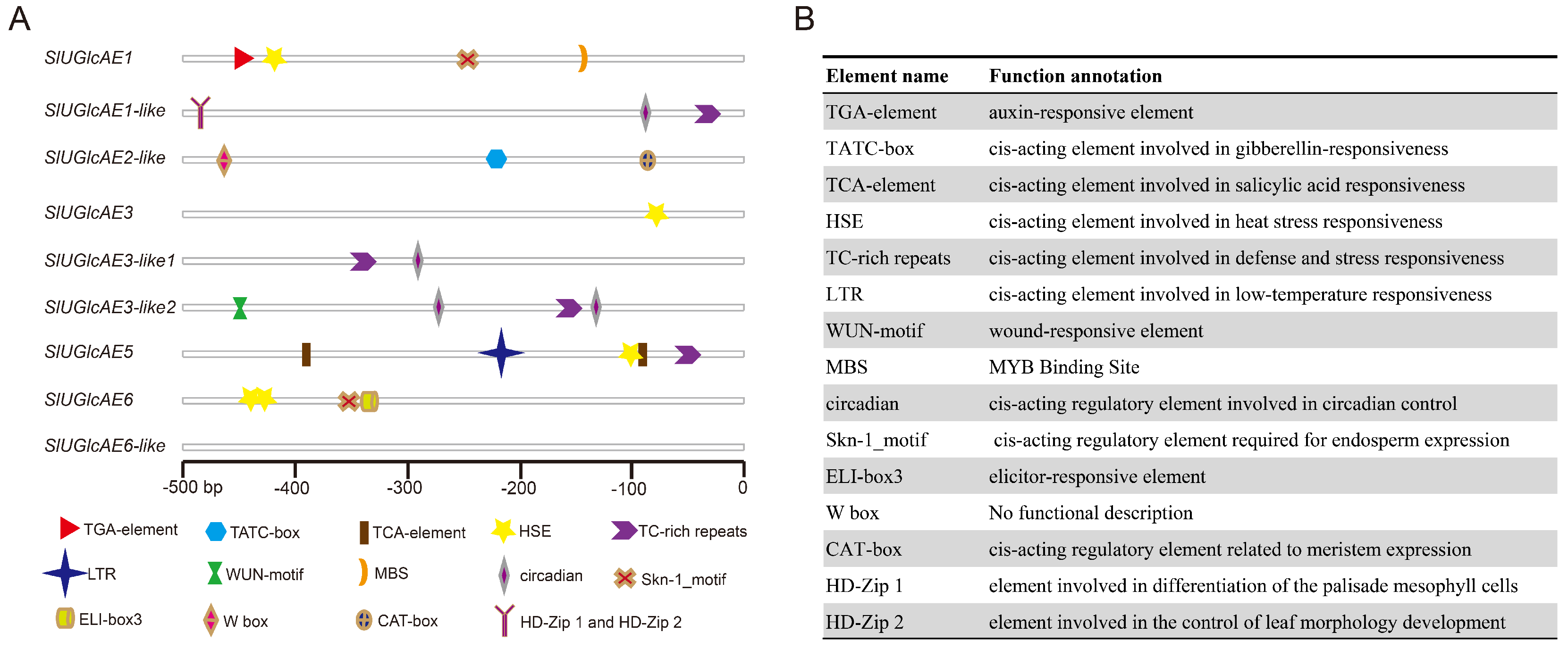 Ijms 19 01583 g008 Ijms 19 01583 g008