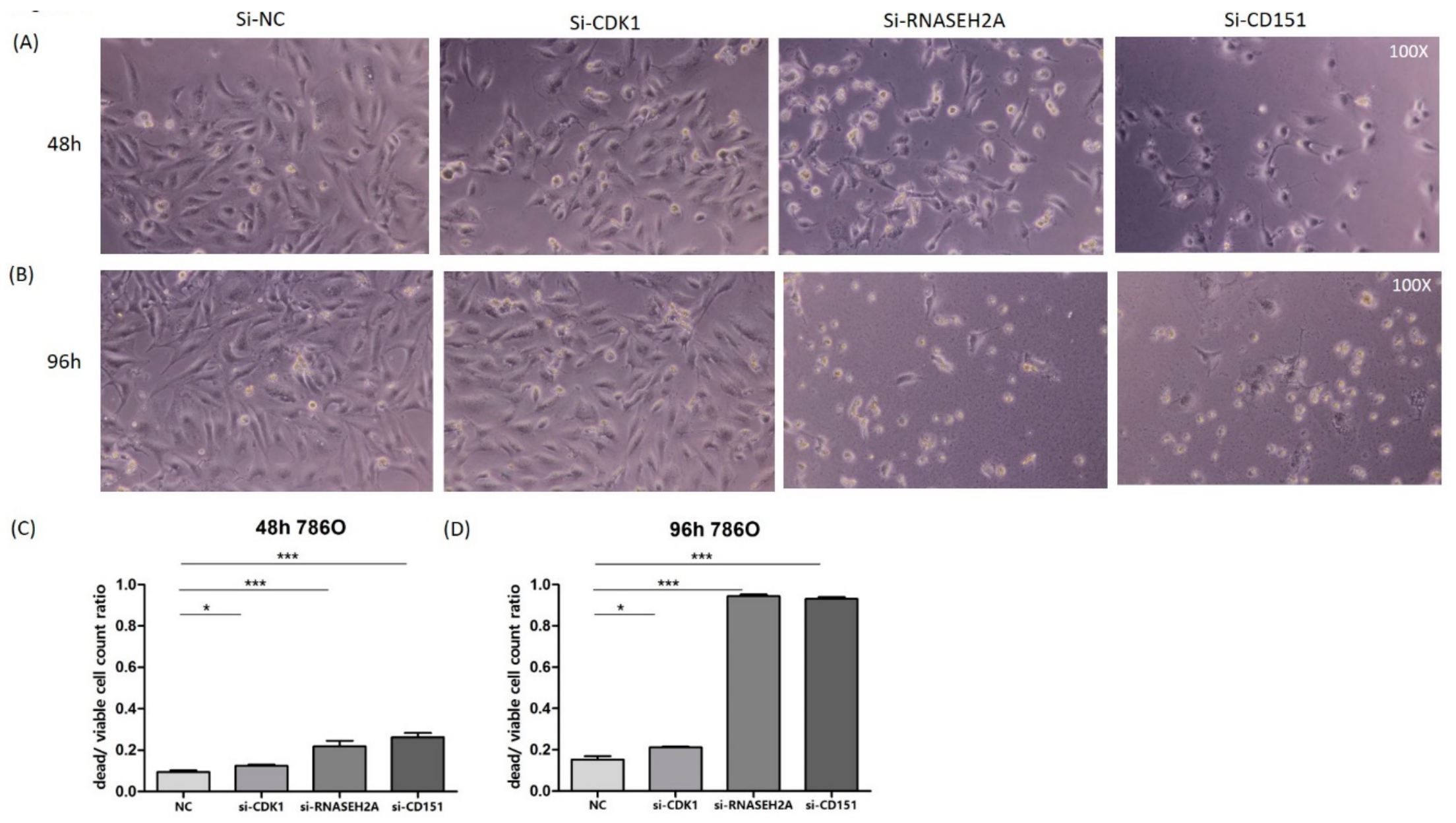 Ijms 19 01586 g004