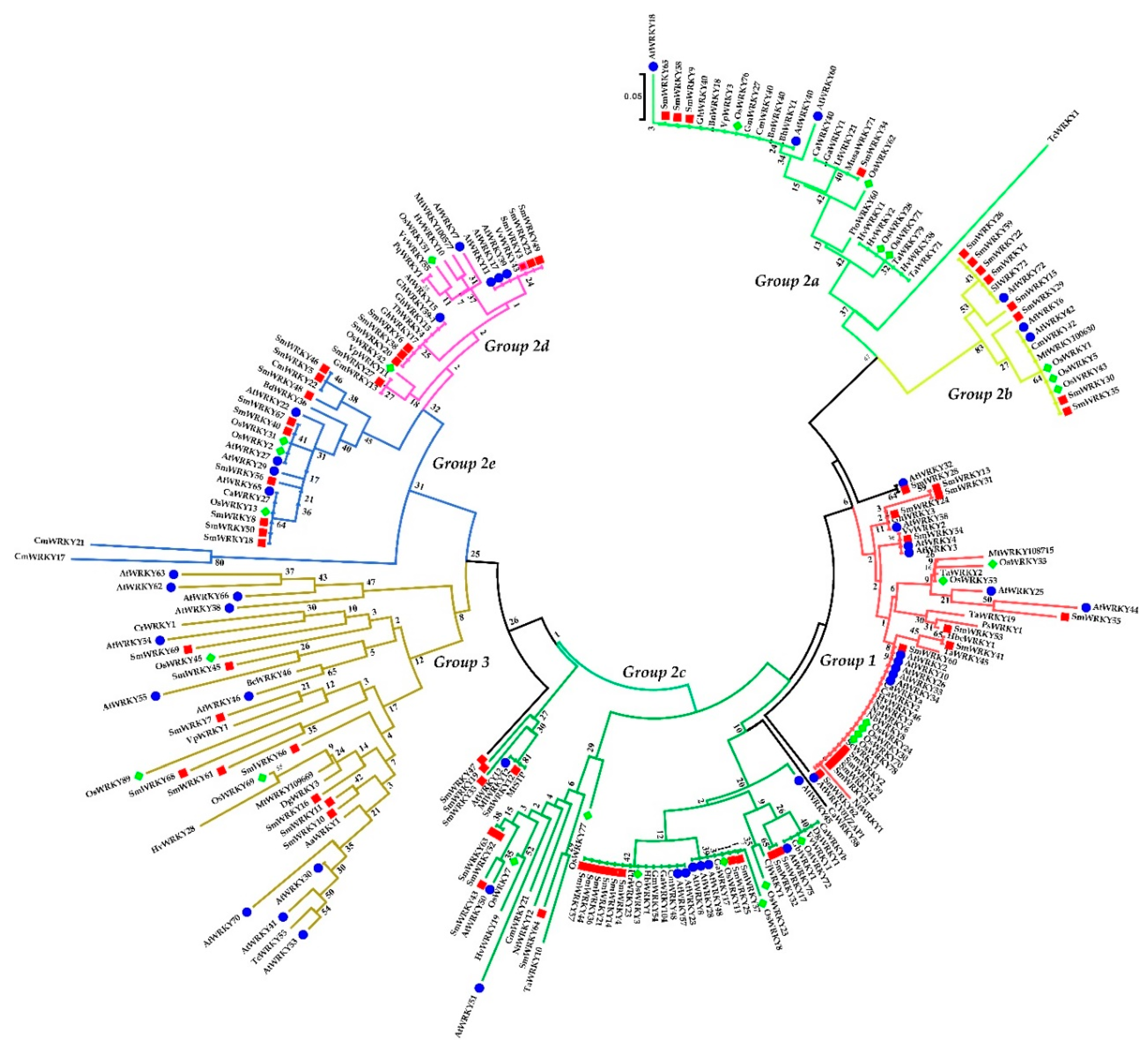 Ijms 19 01593 g001 550